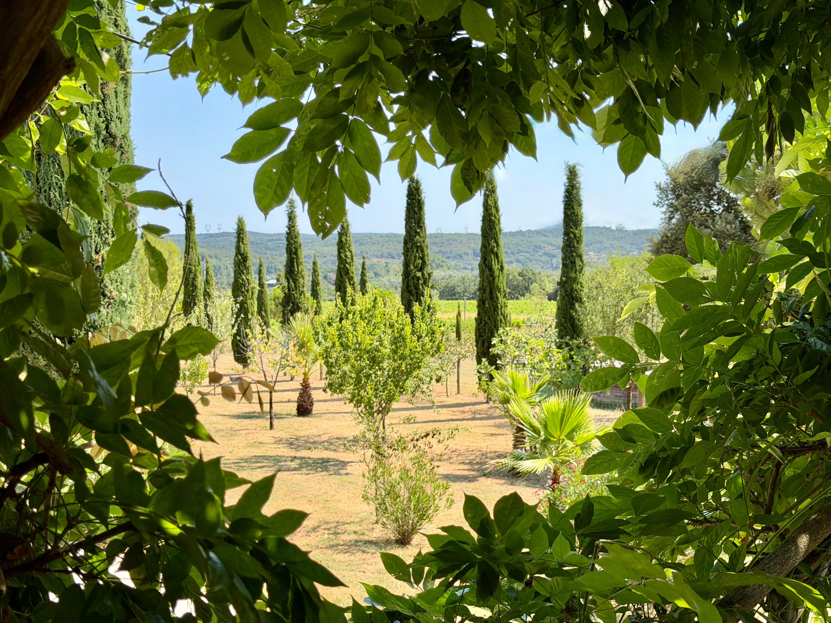 Authentic Provençal Stone Mas – 3.3-Hectare Estate Overlooking the Cèze Valley - 物件實景