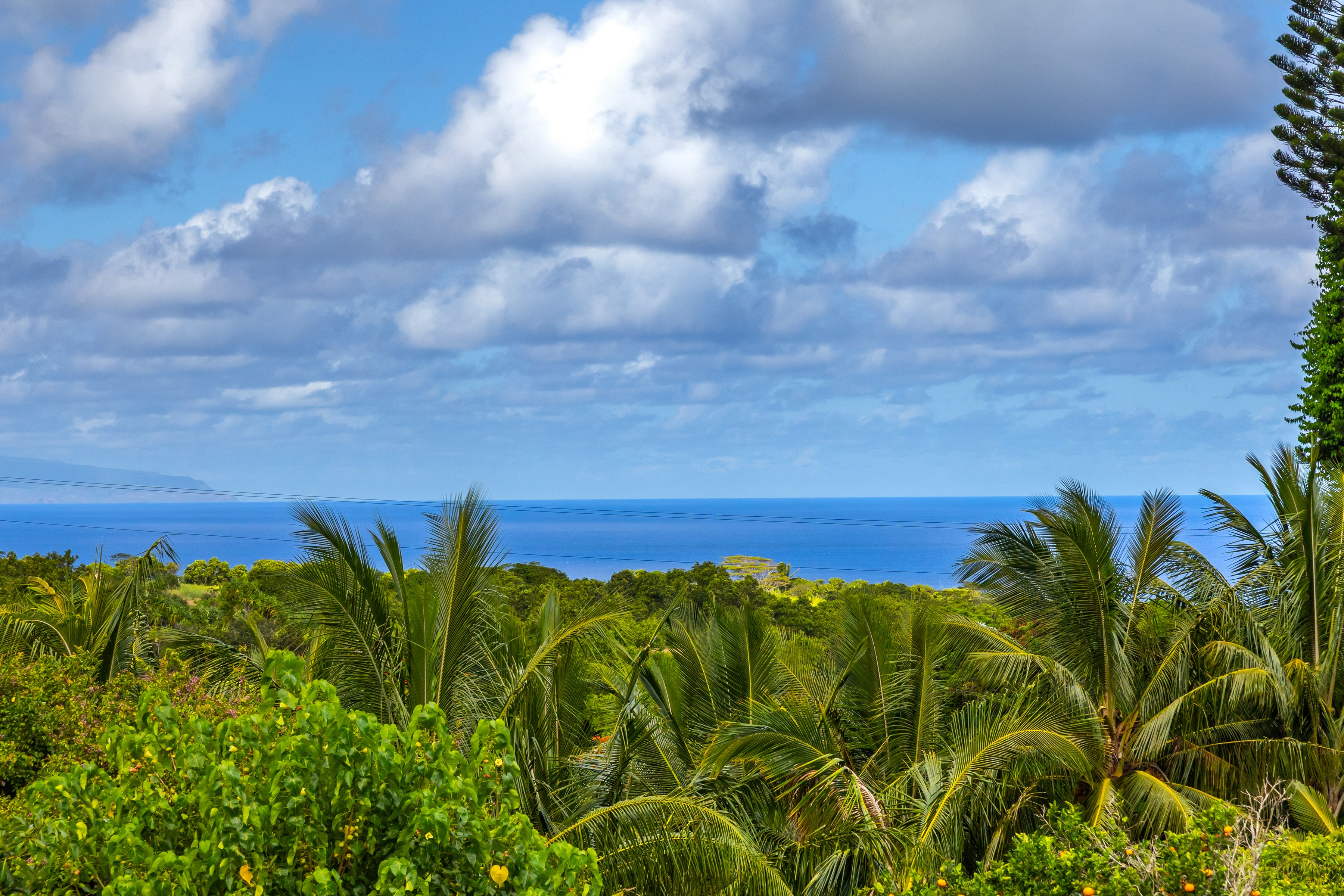  Peahi Mist A Tropical Oasis - 物件實景