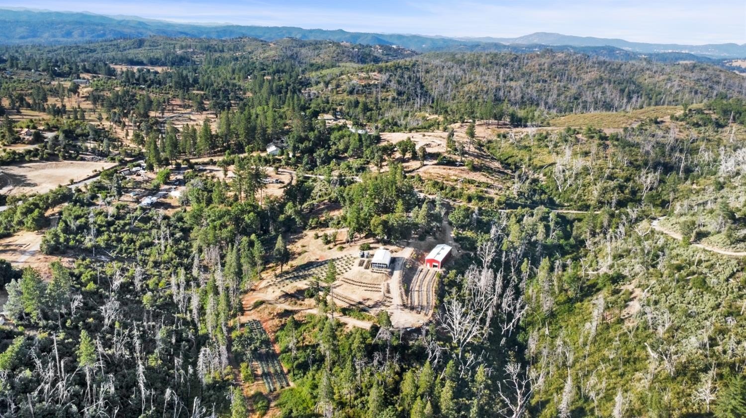 Mountain Ranch, California, 95246, United States, ,Land,For Sale,1981446