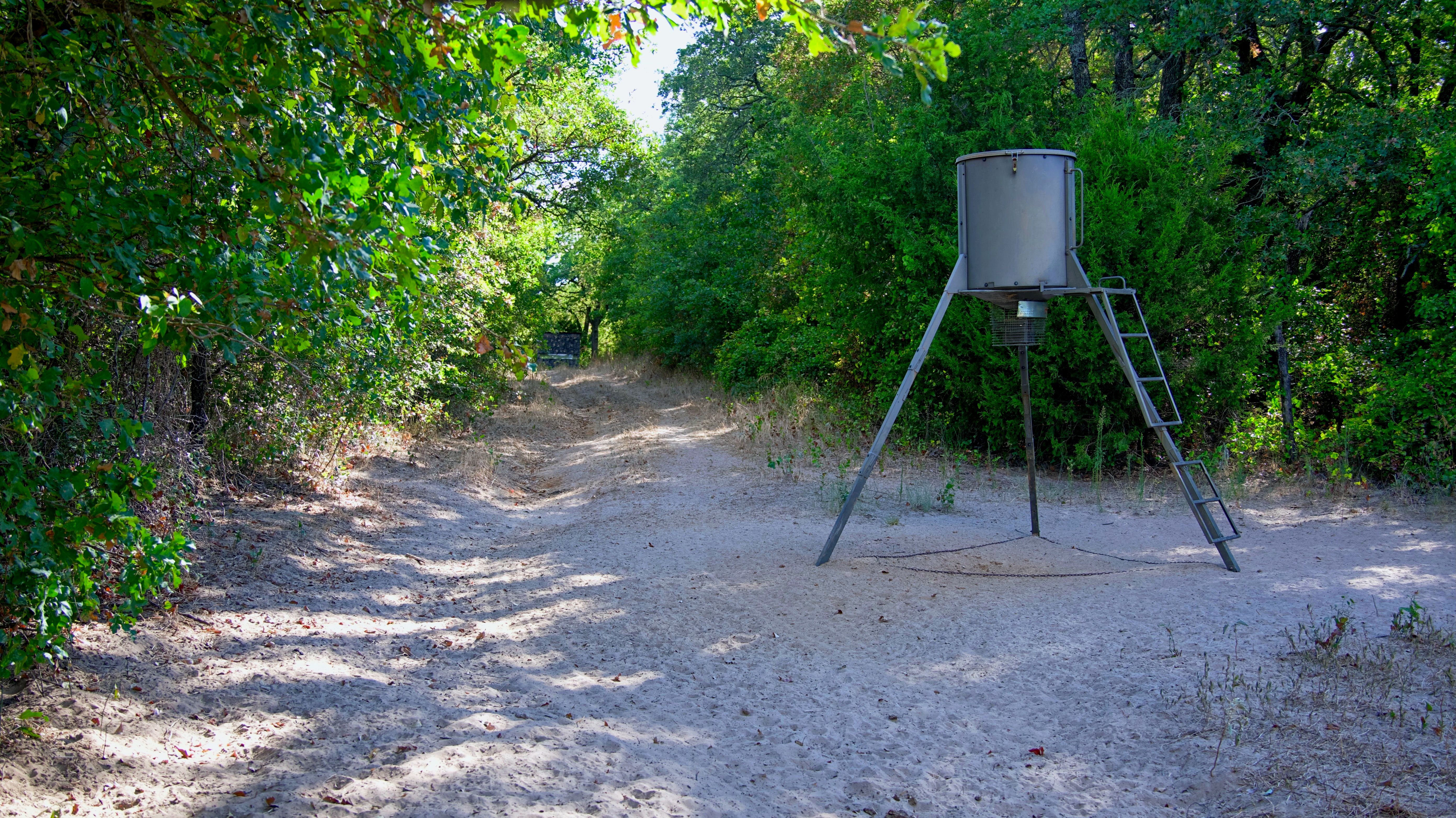  0 Deen Road, Bowie, TX, 76230 - 物件實景