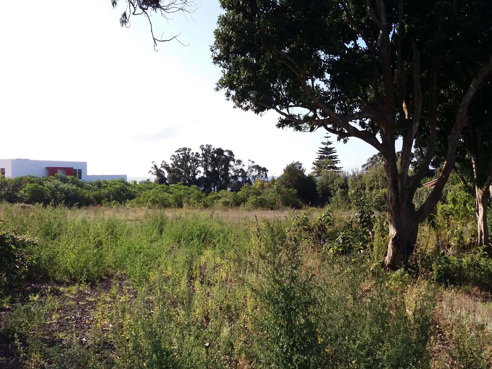 Ponta Delgada, Ilha de São Miguel, 9500-000, PT, ,Land,For Sale,1700309