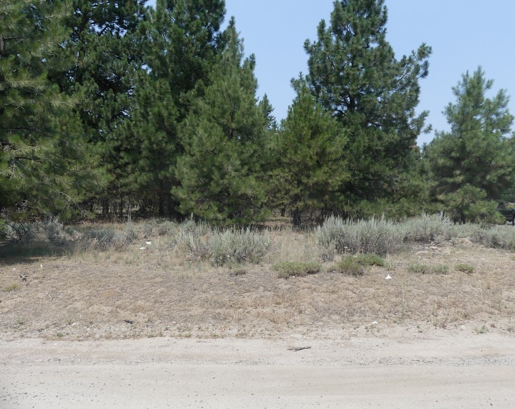 McCall, Idaho, 83638, United States, ,Land,For Sale,2005964