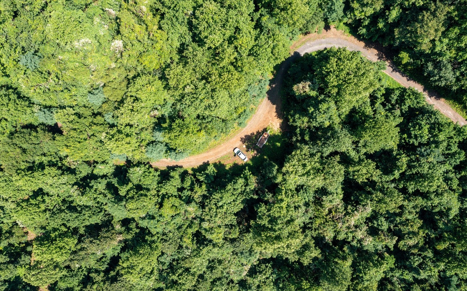 101ac Lori'S Mountain, Hayesville, North Carolina, 28904, United States, ,Residential,For Sale,101ac Lori'S Mountain,1304629
