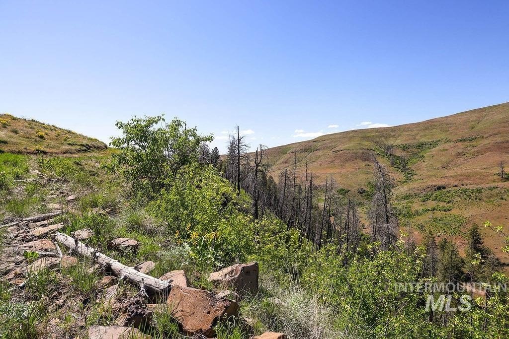 Council, Idaho, 83612, United States, ,Residential,For Sale,1862004