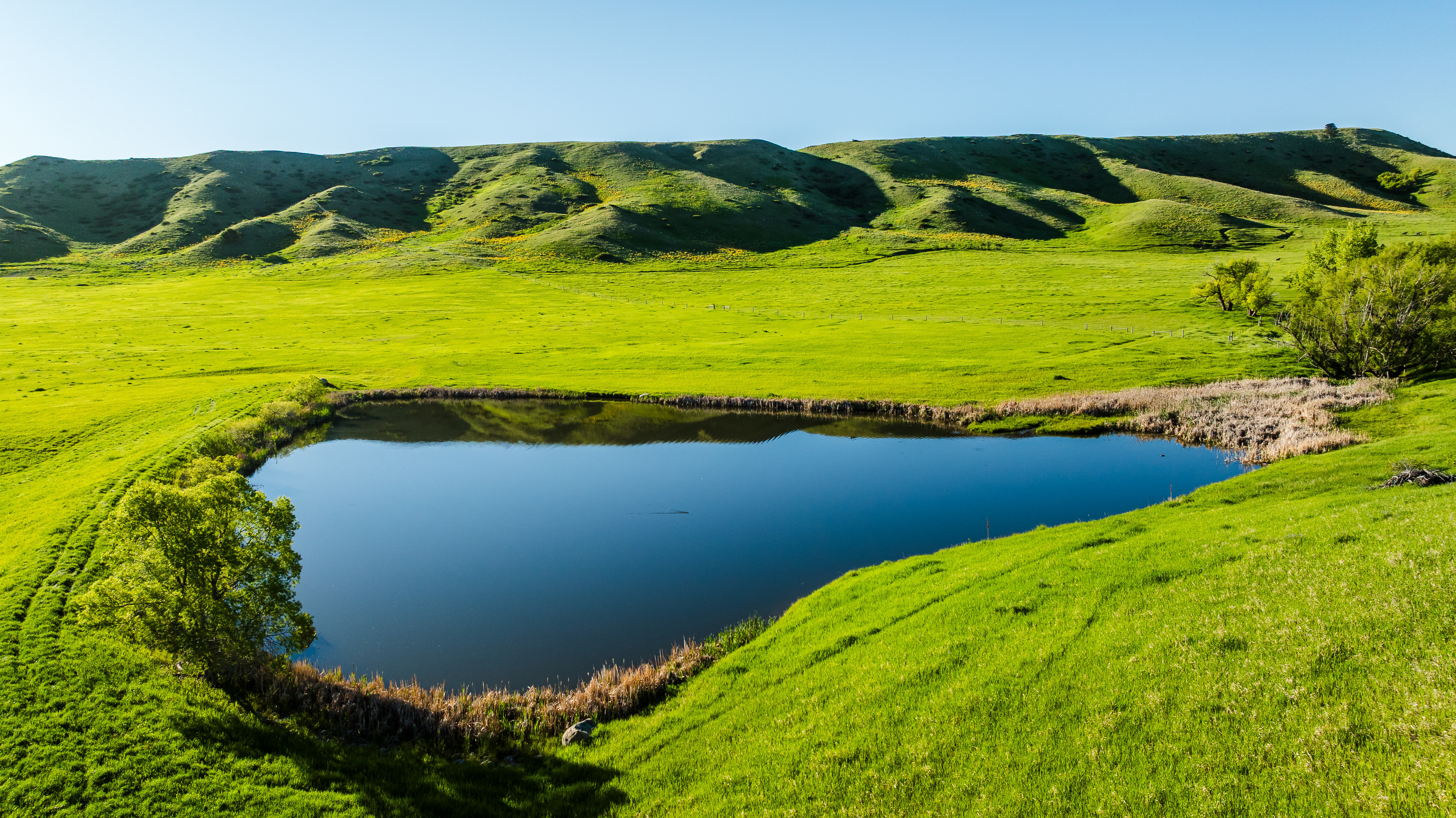 Big Horn, Wyoming, 82833, United States, ,Residential,For Sale,1976689