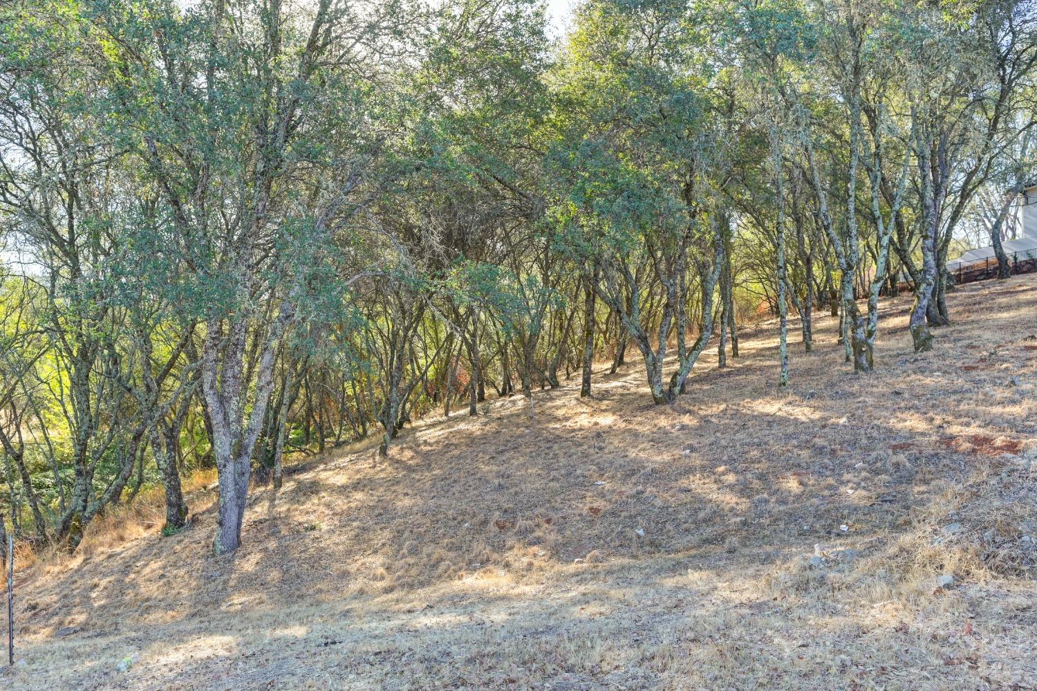 El Dorado Hills, California, 95762, United States, ,Land,For Sale,1993227