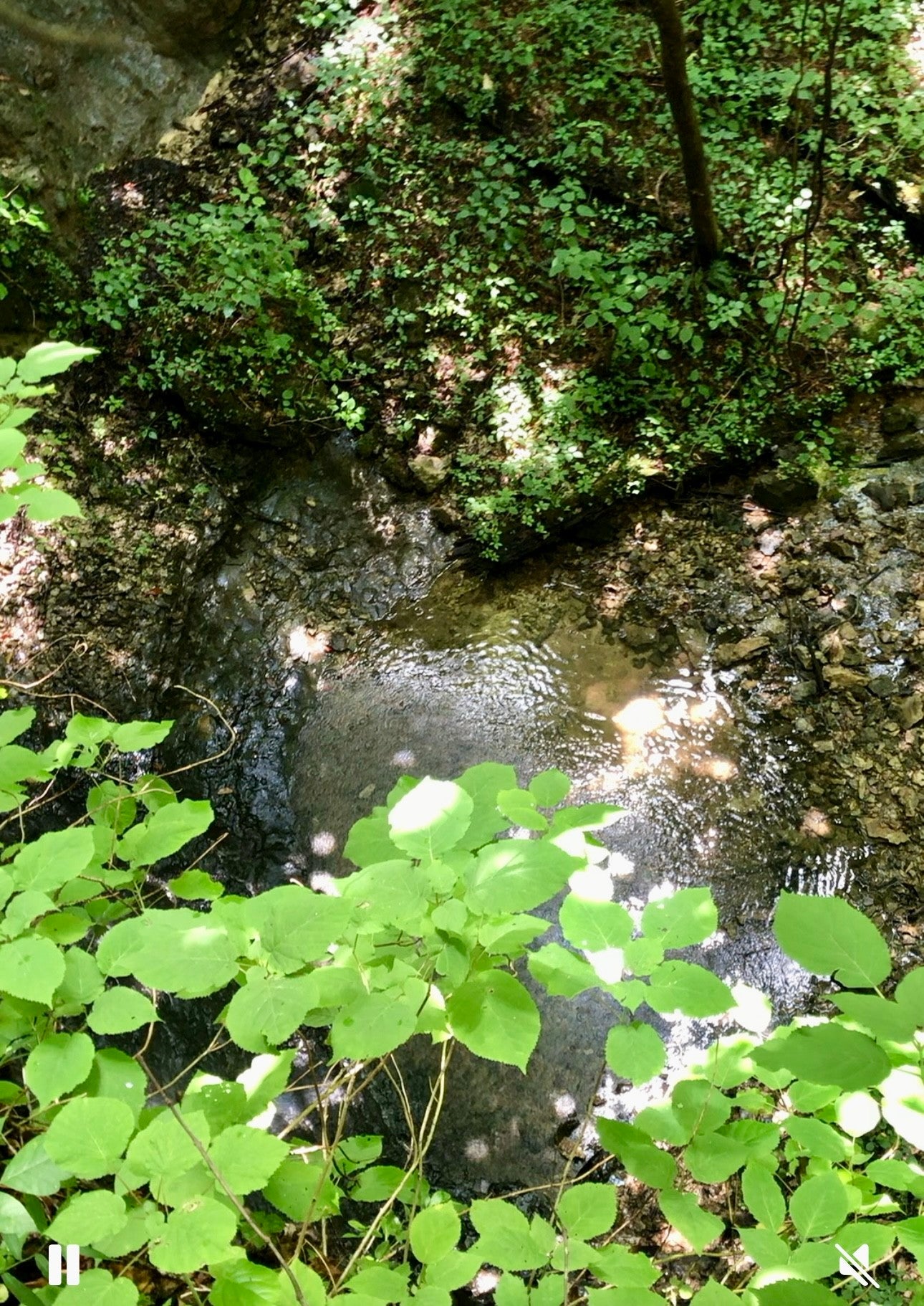 Sparta, Tennessee, 38583, United States, ,Land,For Sale,2006583