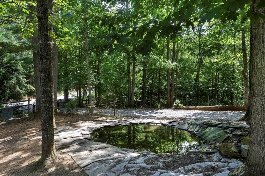 Blairsville, Georgia, 30512, United States, 3 Bedrooms Bedrooms, ,3 BathroomsBathrooms,Residential,For Sale,1889630