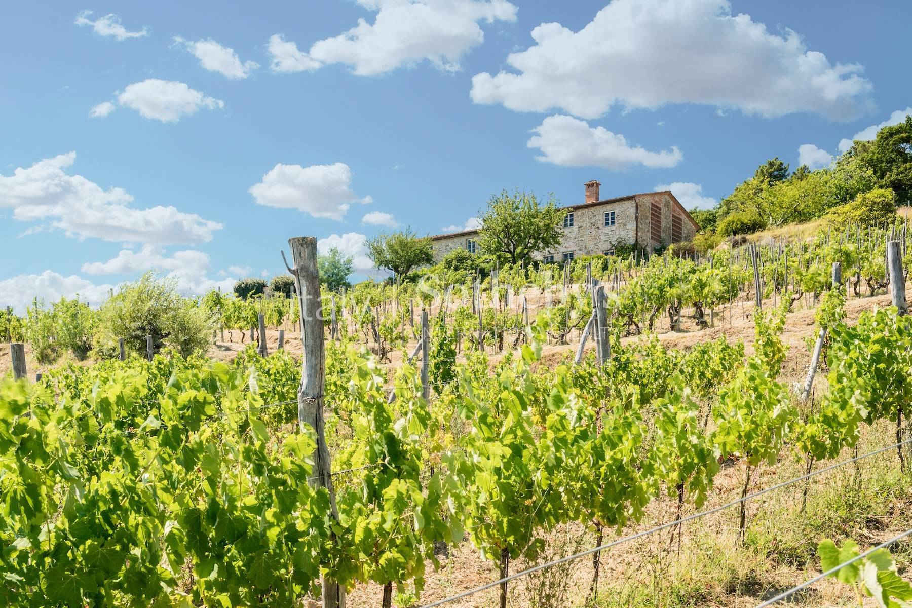  Historic stone country house with unique panorama and vineyards - 物件實景
