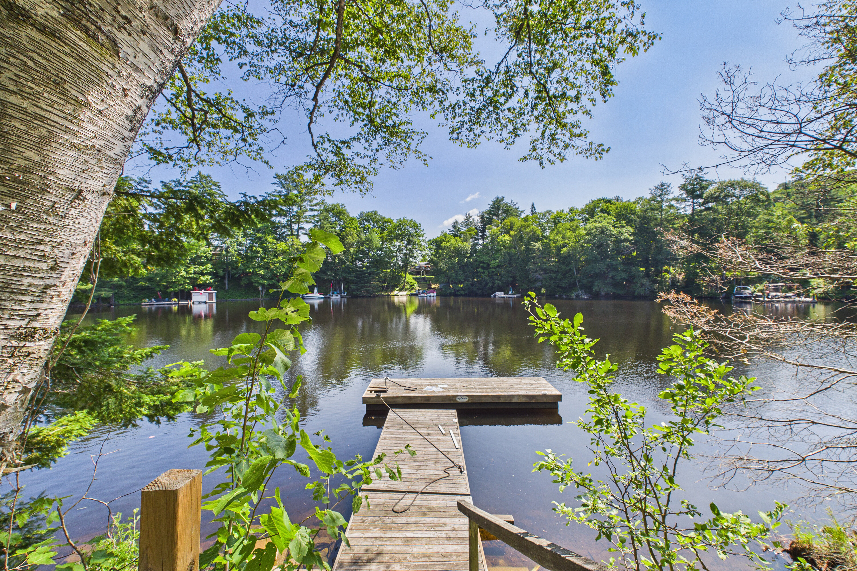  Muskoka Waterfront Living - 物件實景