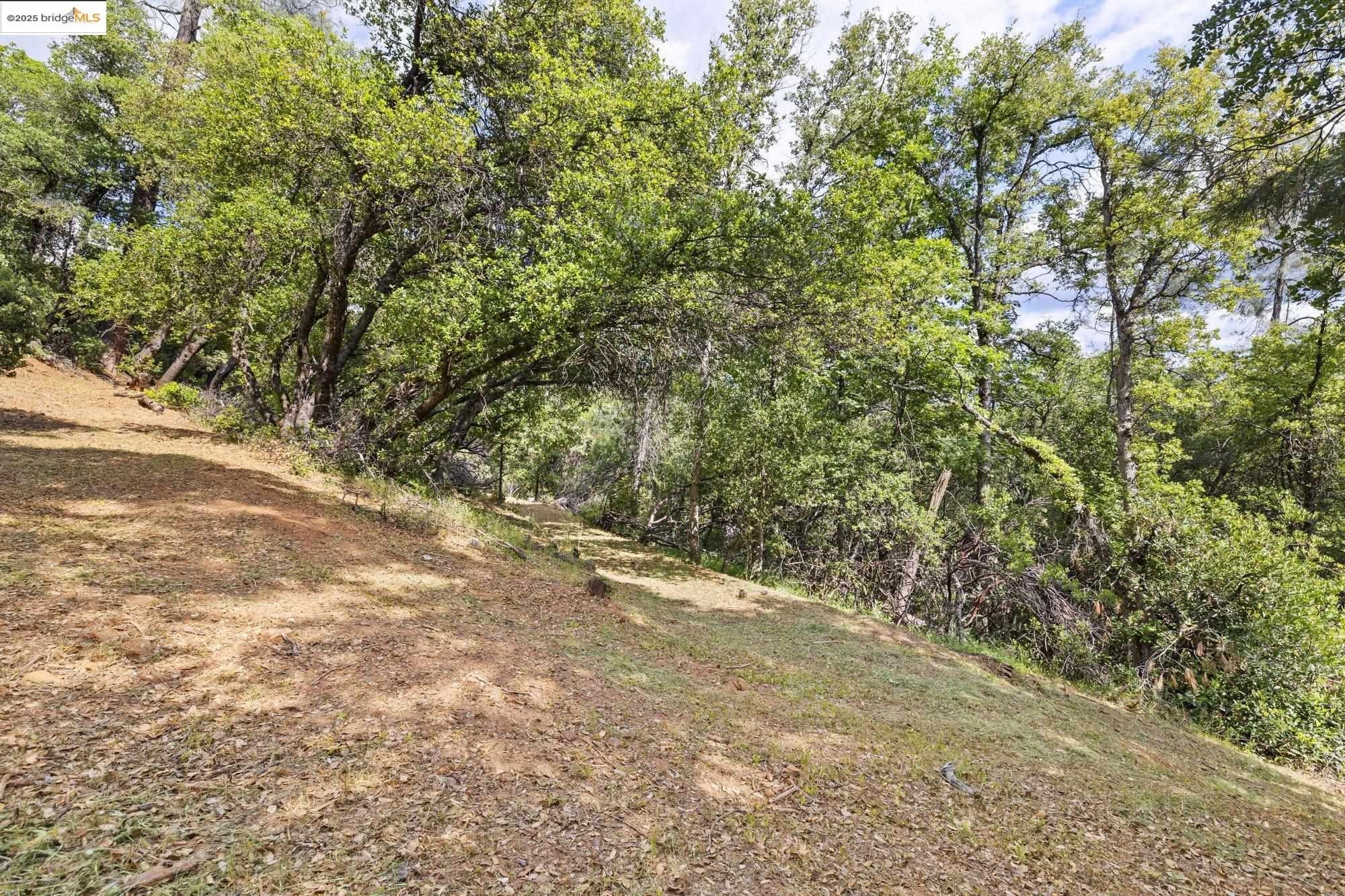 Tuolumne, California, 95379, United States, 4 Bedrooms Bedrooms, ,3 BathroomsBathrooms,Residential,For Sale,1980898