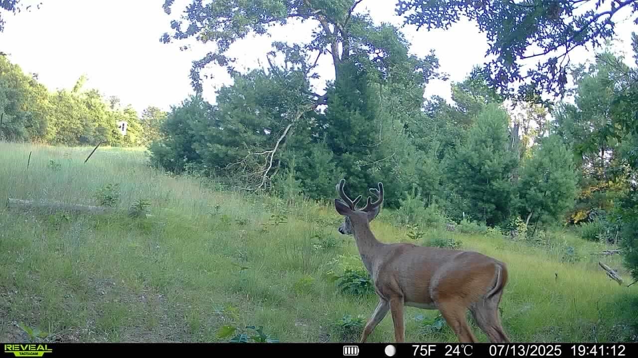 Warrens, Wisconsin, 54666, United States, 4 Bedrooms Bedrooms, ,3 BathroomsBathrooms,Residential,For Sale,1975252