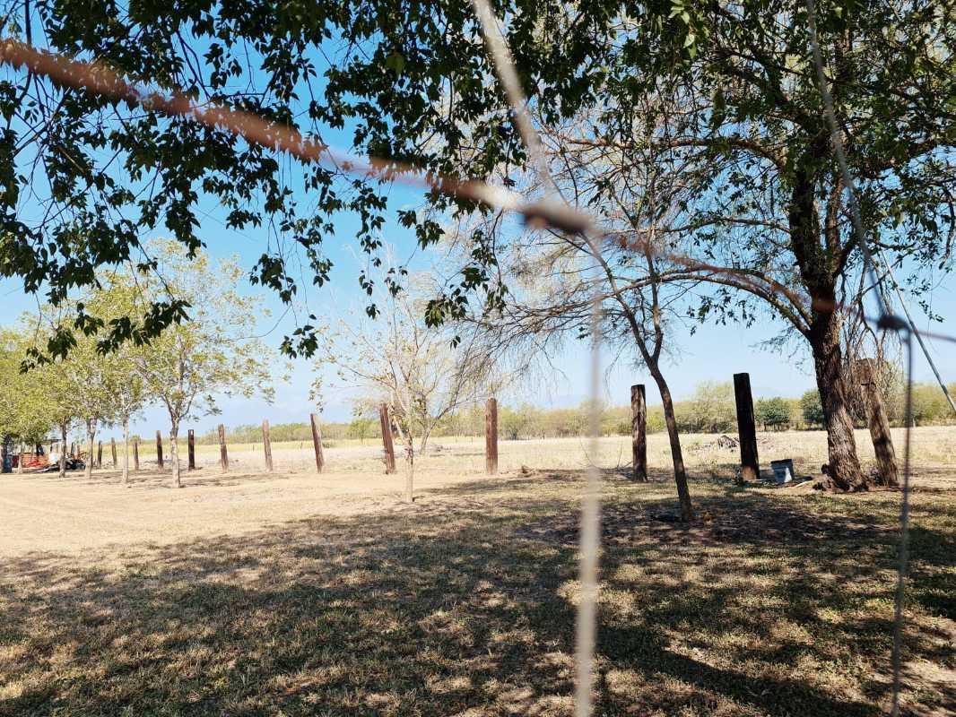 EJI SAN JUAN DE LOS GARZA, Cadereyta Jiménez, Nuevo León, 67459, Mexico, 1 Bedroom Bedrooms, ,Residential,For Sale,EJI SAN JUAN DE LOS GARZA,1440992