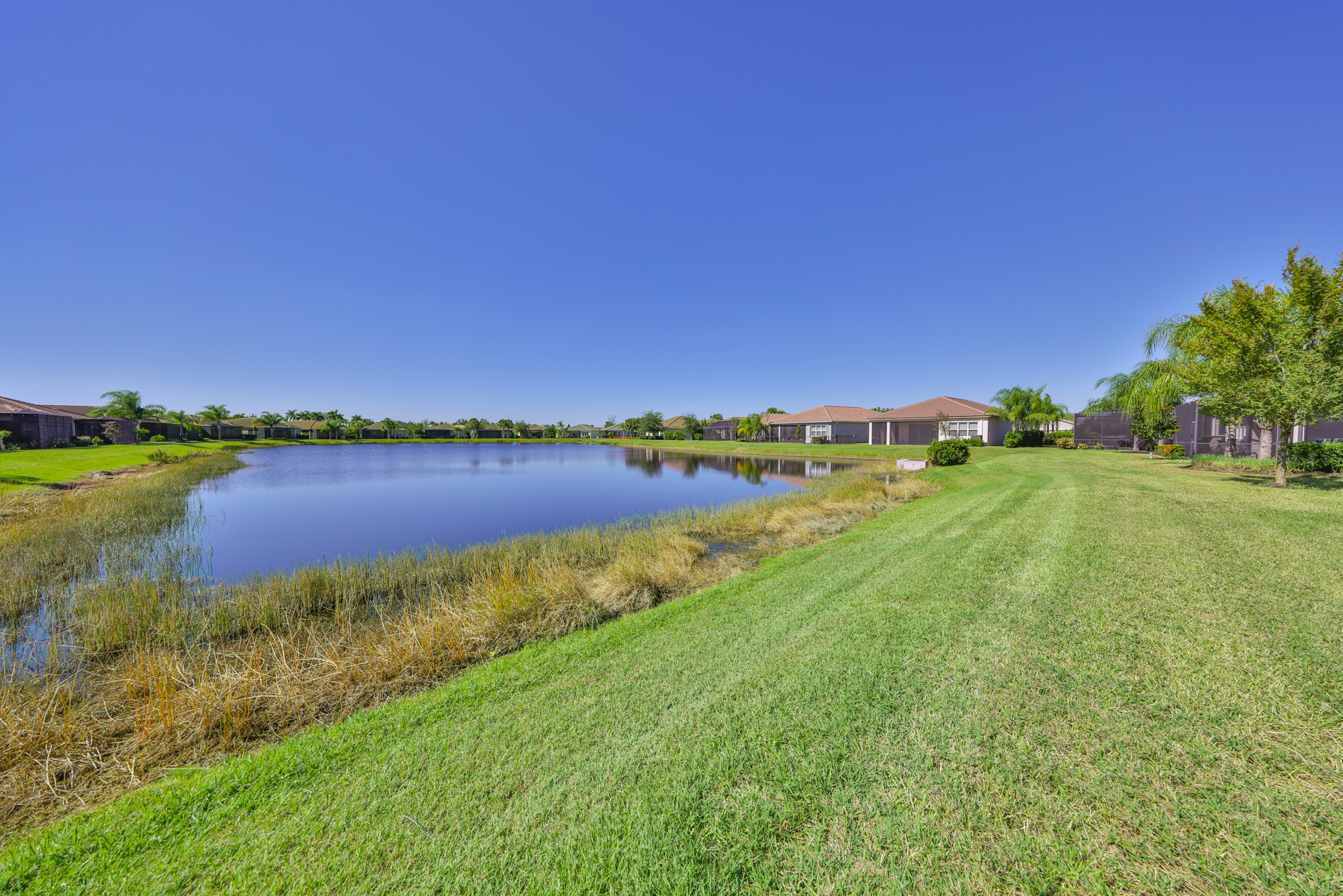 Wimauma, Florida, 33598, United States, 3 Bedrooms Bedrooms, ,3 BathroomsBathrooms,Residential,For Sale,1989865