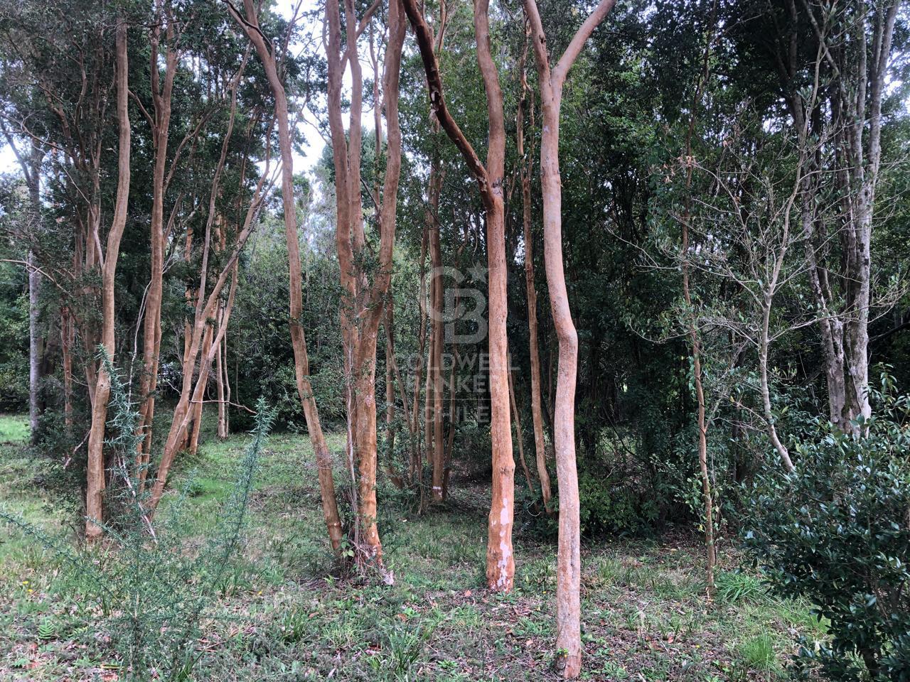 Puerto Varas, Chile, ,Residential,For Sale,1959387