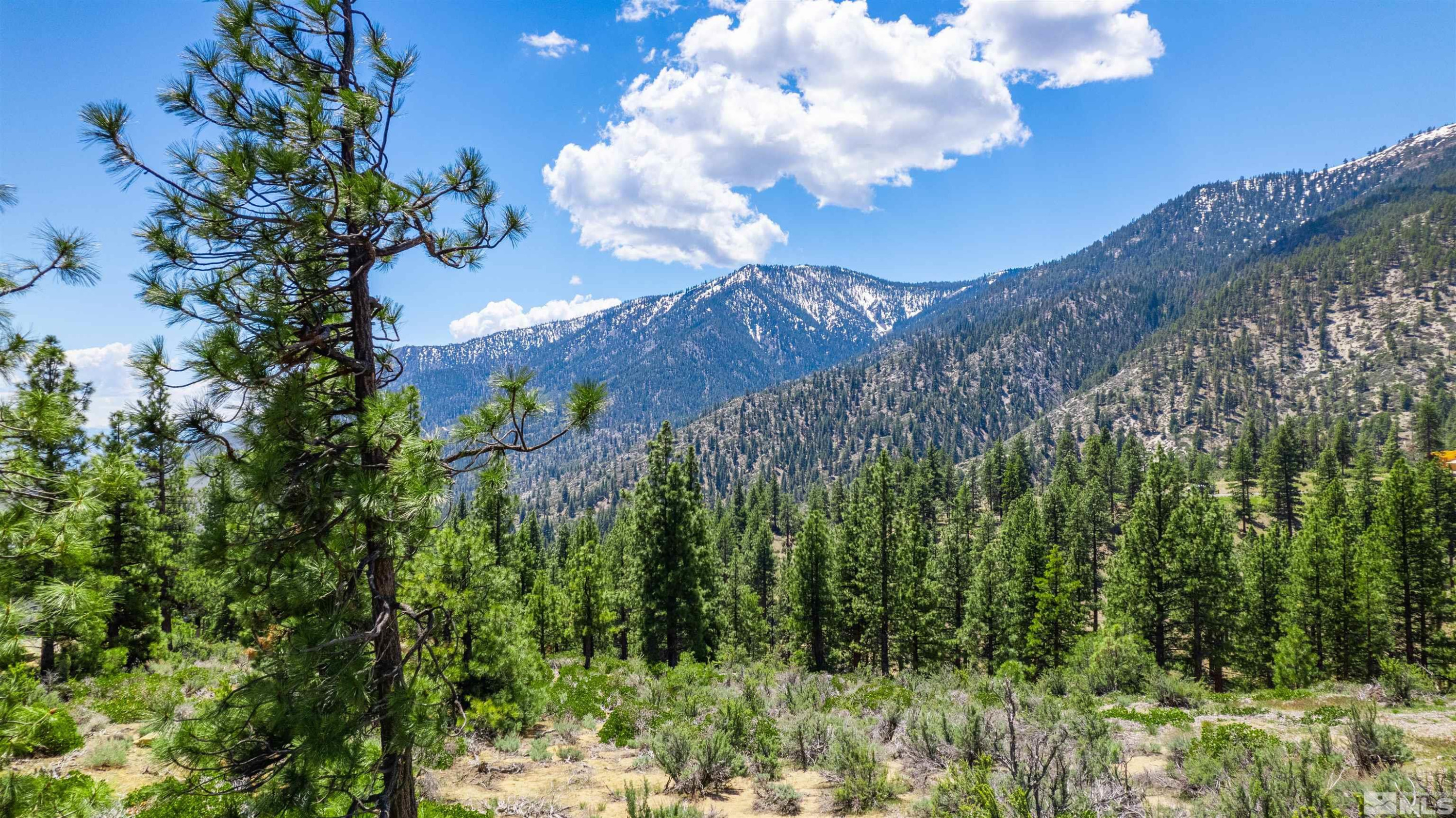 Carson City, Nevada, 89705, United States, ,Land,For Sale,1828130
