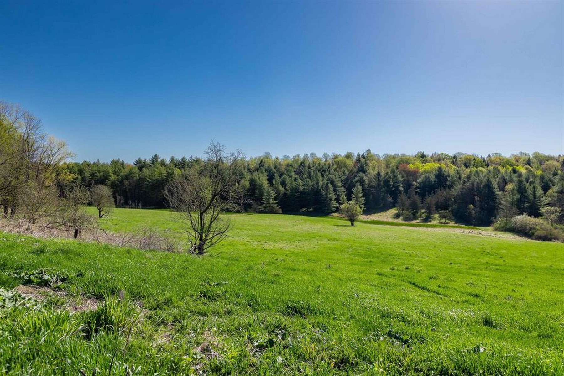  1555 Spear Street - 物件實景