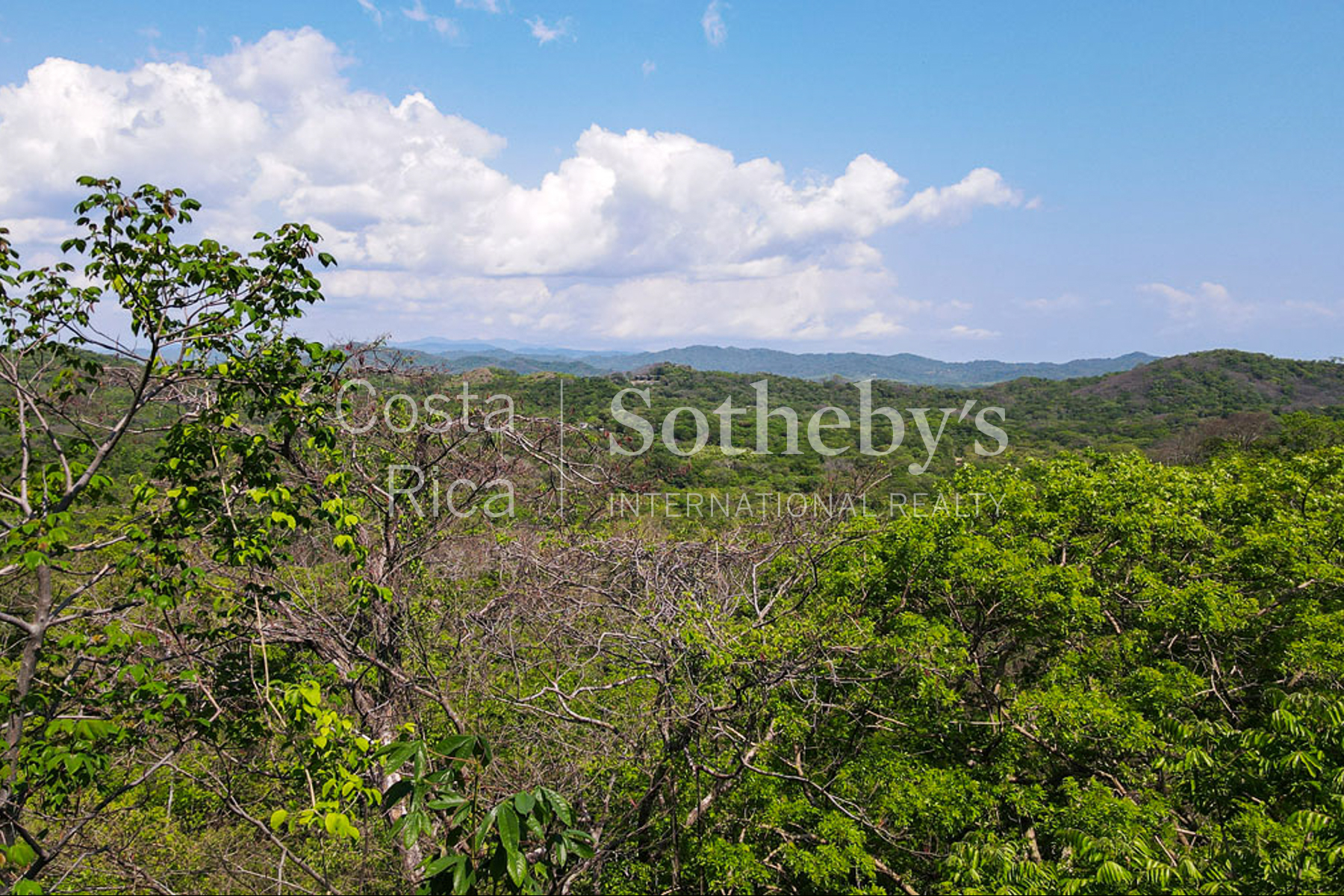  Green Valley Home - 物件實景