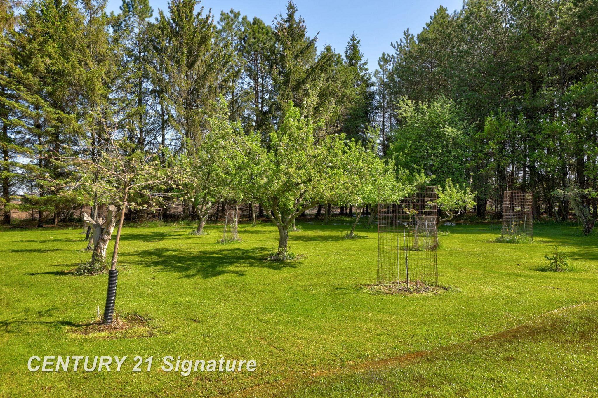 Hemlock, Michigan, 48626, United States, 6 Bedrooms Bedrooms, ,5 BathroomsBathrooms,Residential,For Sale,1984080