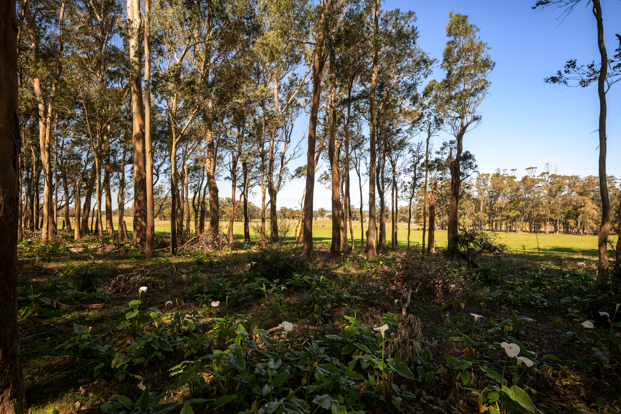  La Virazón  597-Hectare Oceanfront Estate in Rocha, Uruguay - 物件實景