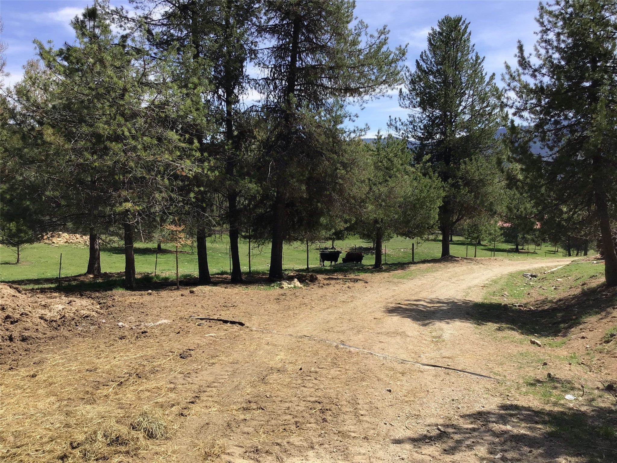 De Borgia, Montana, 59830, United States, 2 Bedrooms Bedrooms, ,1 BathroomBathrooms,Residential,For Sale,1806179