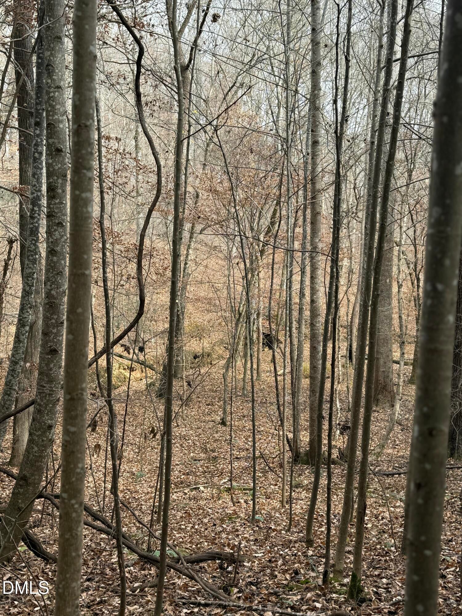 Oxford, North Carolina, 27565, United States, ,Land,For Sale,2000467