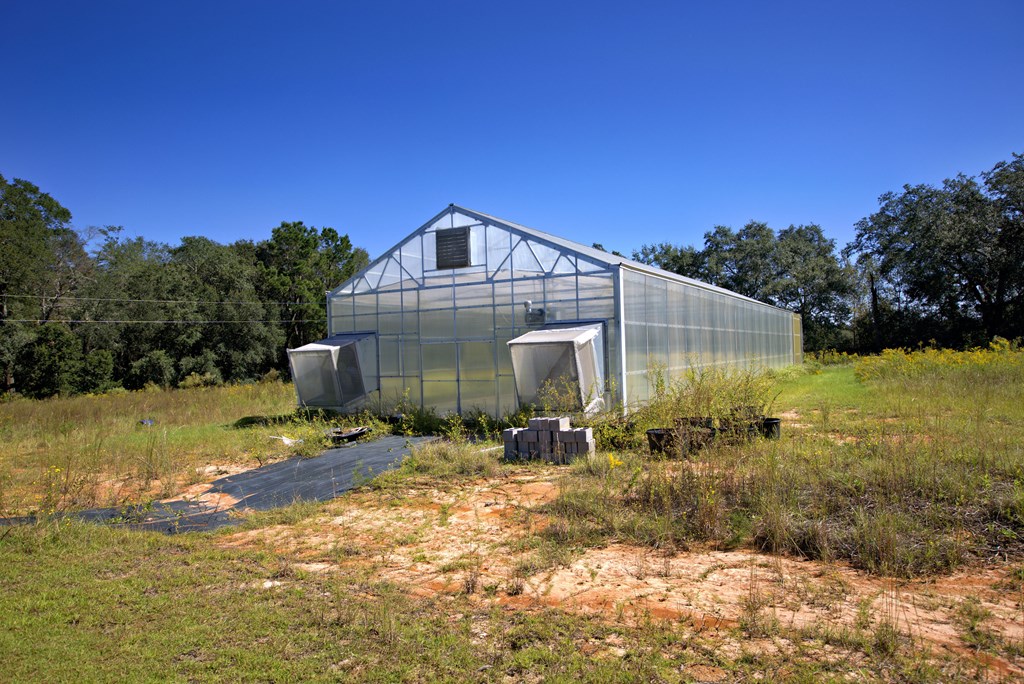 Pavo, Georgia, 31778, United States, ,Residential,For Sale,1988640