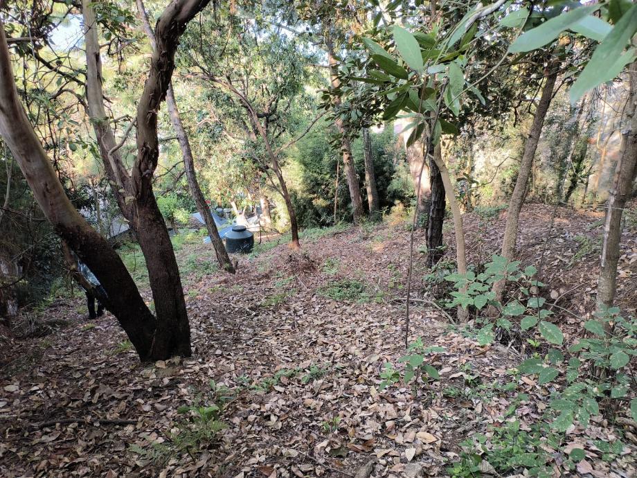 Valle de Bravo, Estado de méxico, 51200, Mexico, 1 Bedroom Bedrooms, ,Residential,For Sale,1721509