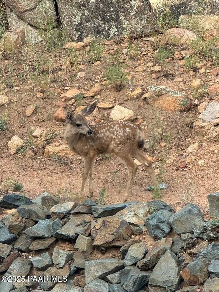 Prescott, Arizona, 86303, United States, 2 Bedrooms Bedrooms, ,2 BathroomsBathrooms,Residential,For Sale,1991251