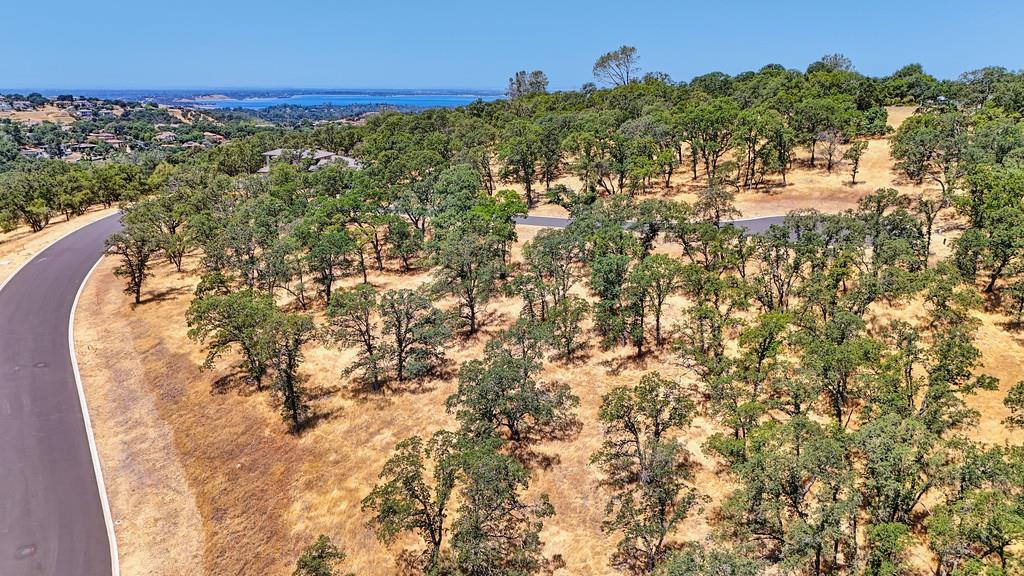 El Dorado Hills, California, 95762, United States, ,Land,For Sale,1874458