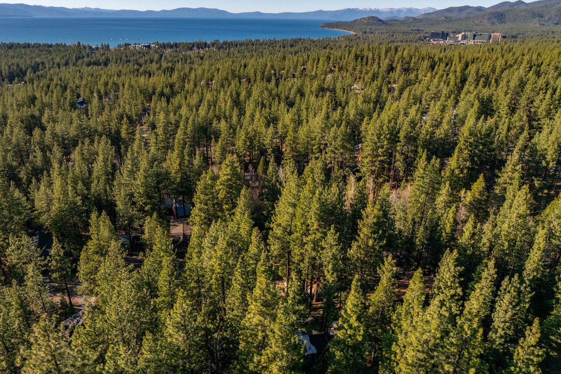  Turnkey Tahoe Retreat Backing to National Forest  Fully Remodeled & Furnish - 物件實景