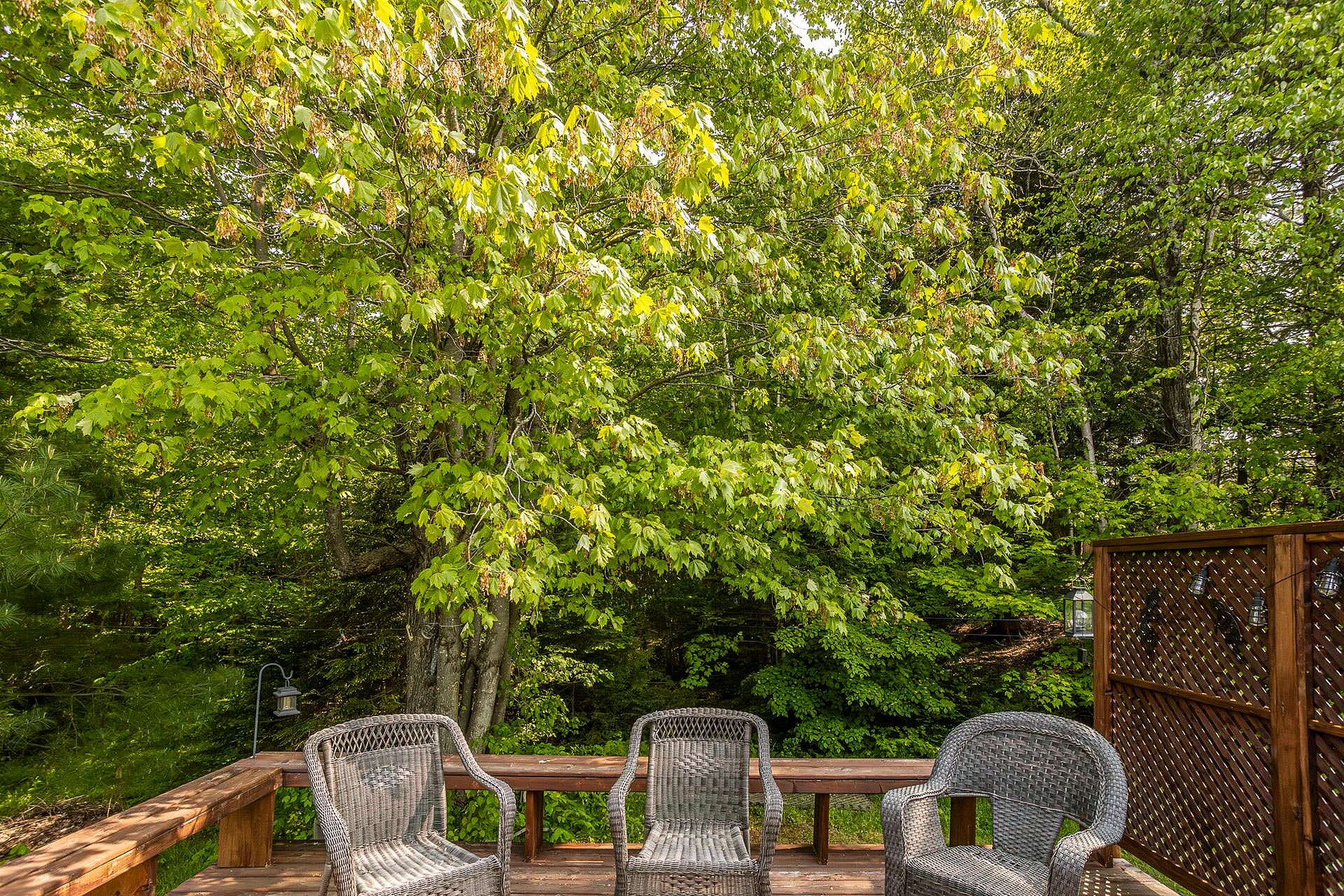  Lac-Brome, Eastern Townships - 物件實景