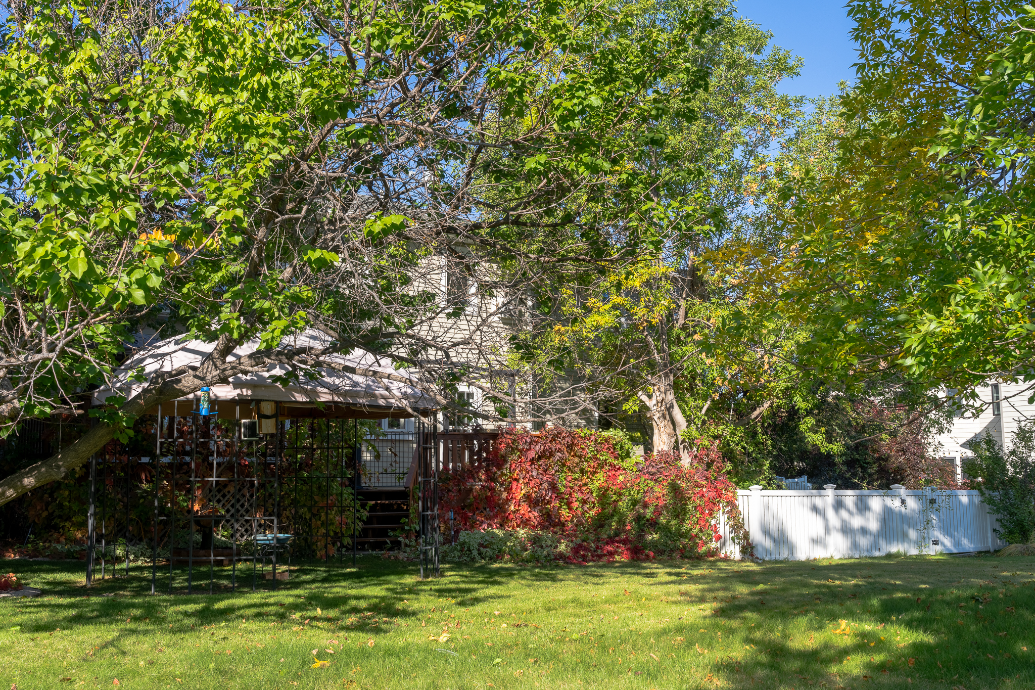 Helena, Montana, 59601, United States, 4 Bedrooms Bedrooms, ,4 BathroomsBathrooms,Residential,For Sale,1984515