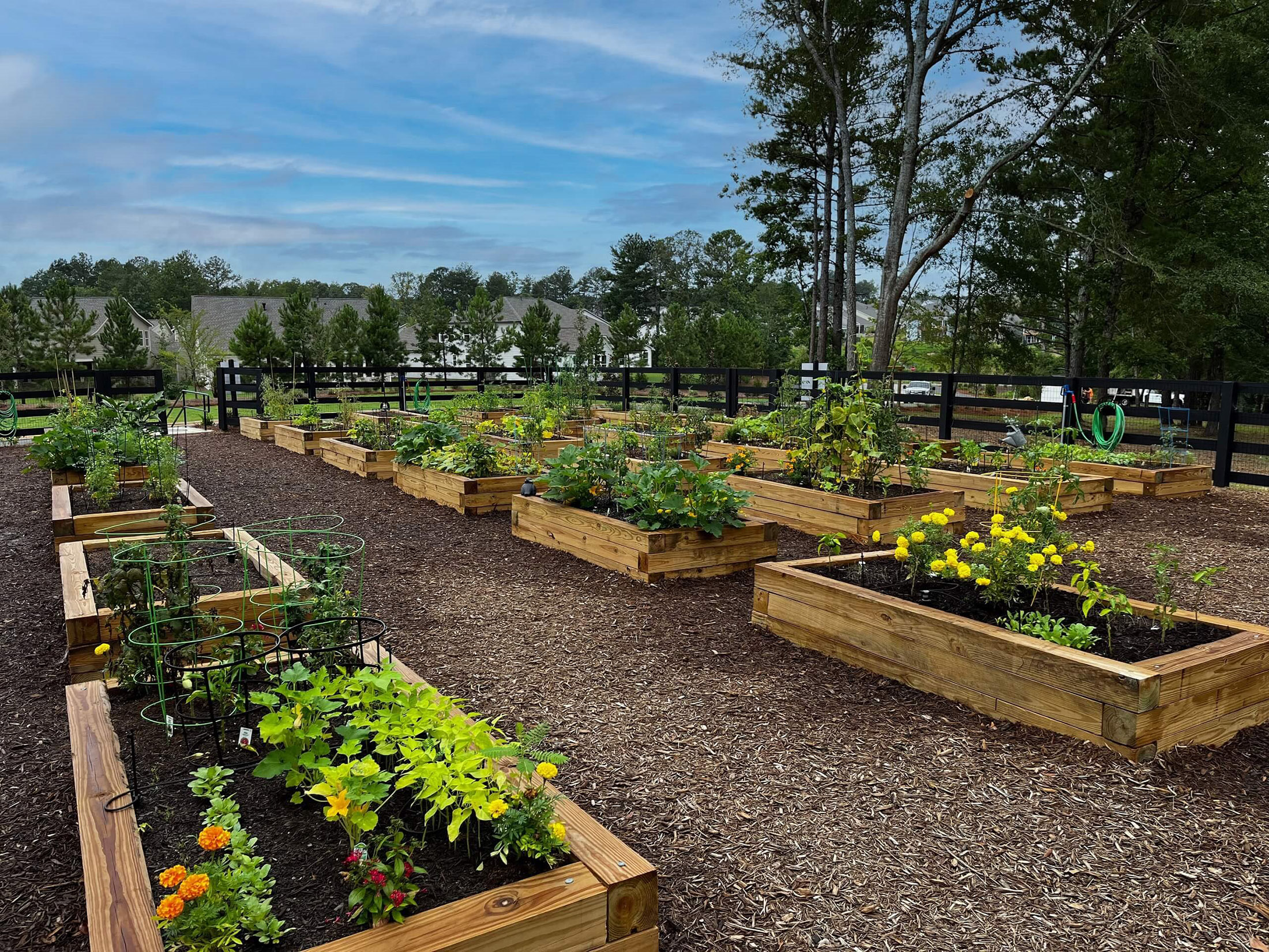  Award-Winning Community Living at Lake Lanier - 物件實景
