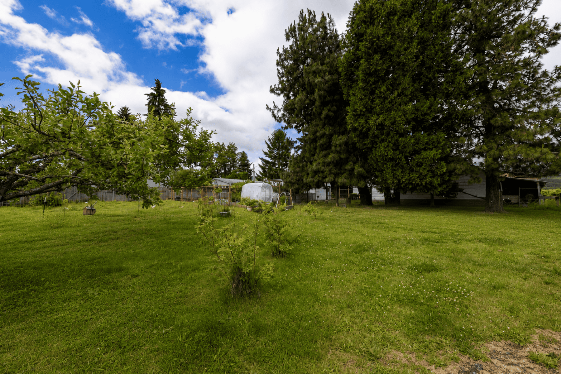  6455 TROUT CREEK RIDGE RD Mt Hood Prkdl, OR 97041 - 物件實景
