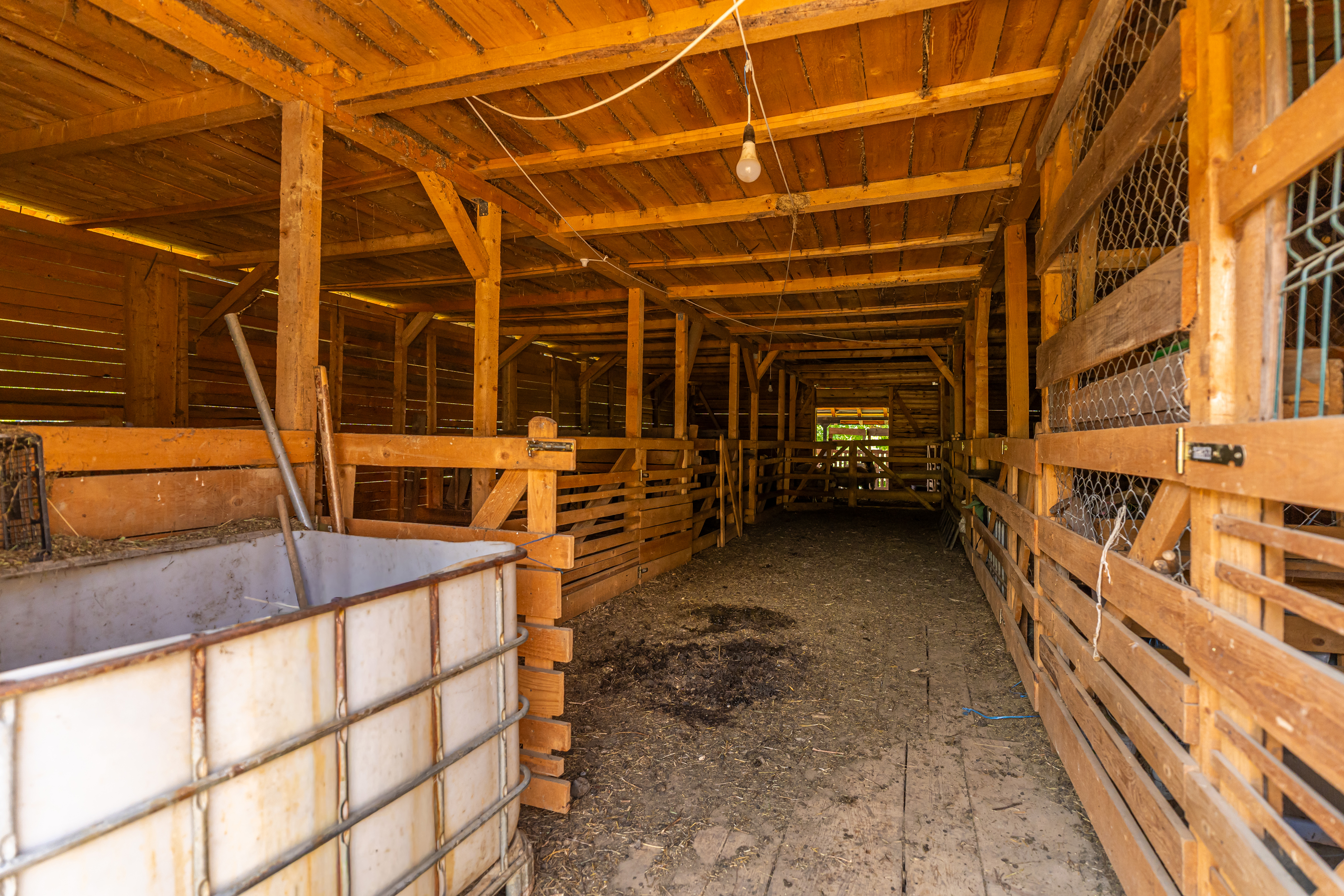  Versatile 22-Hectare Private Estate - Forested Heart of the Apuseni Mountains - 物件實景
