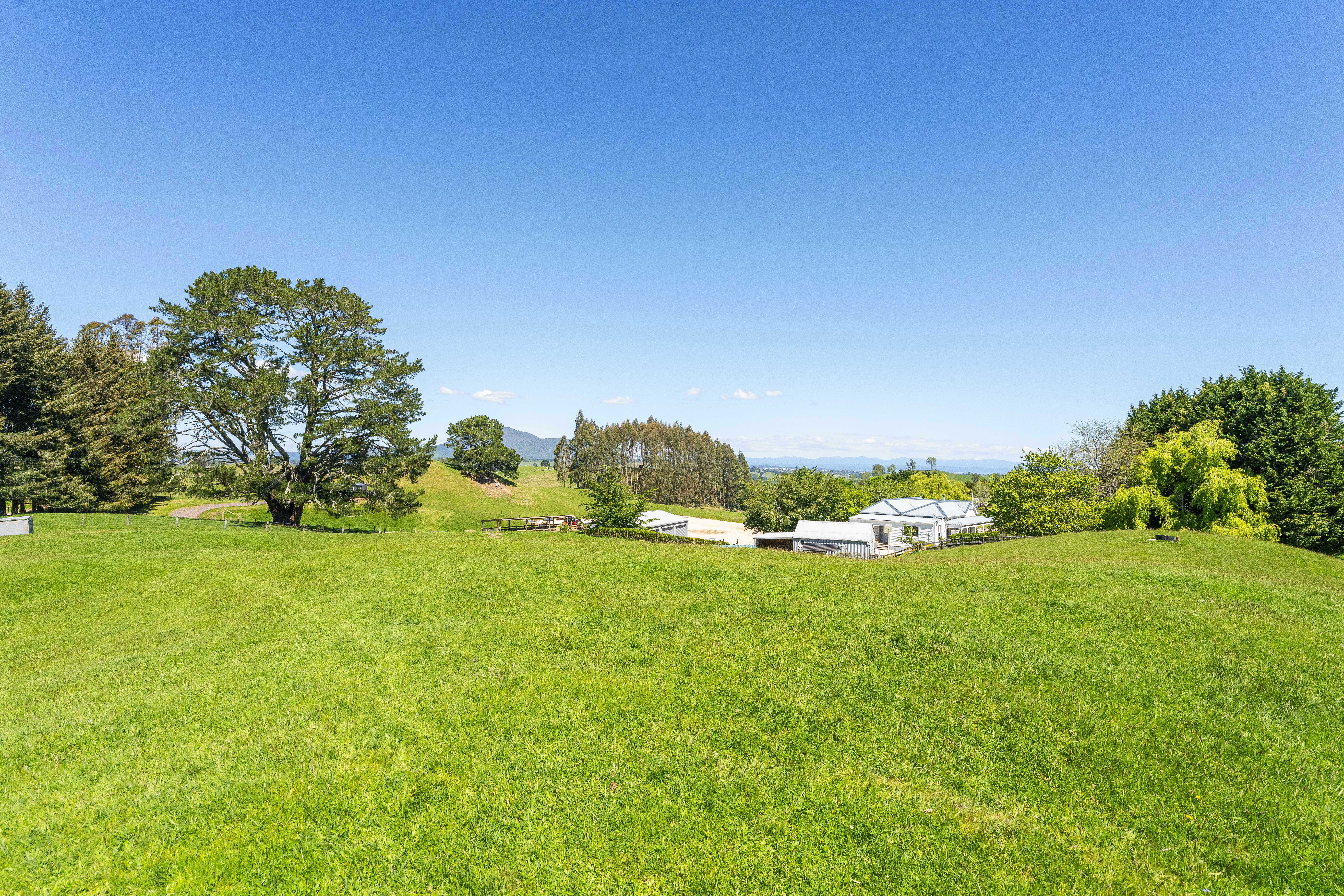 93 Oak Drive, Wairakei - 物件實景
