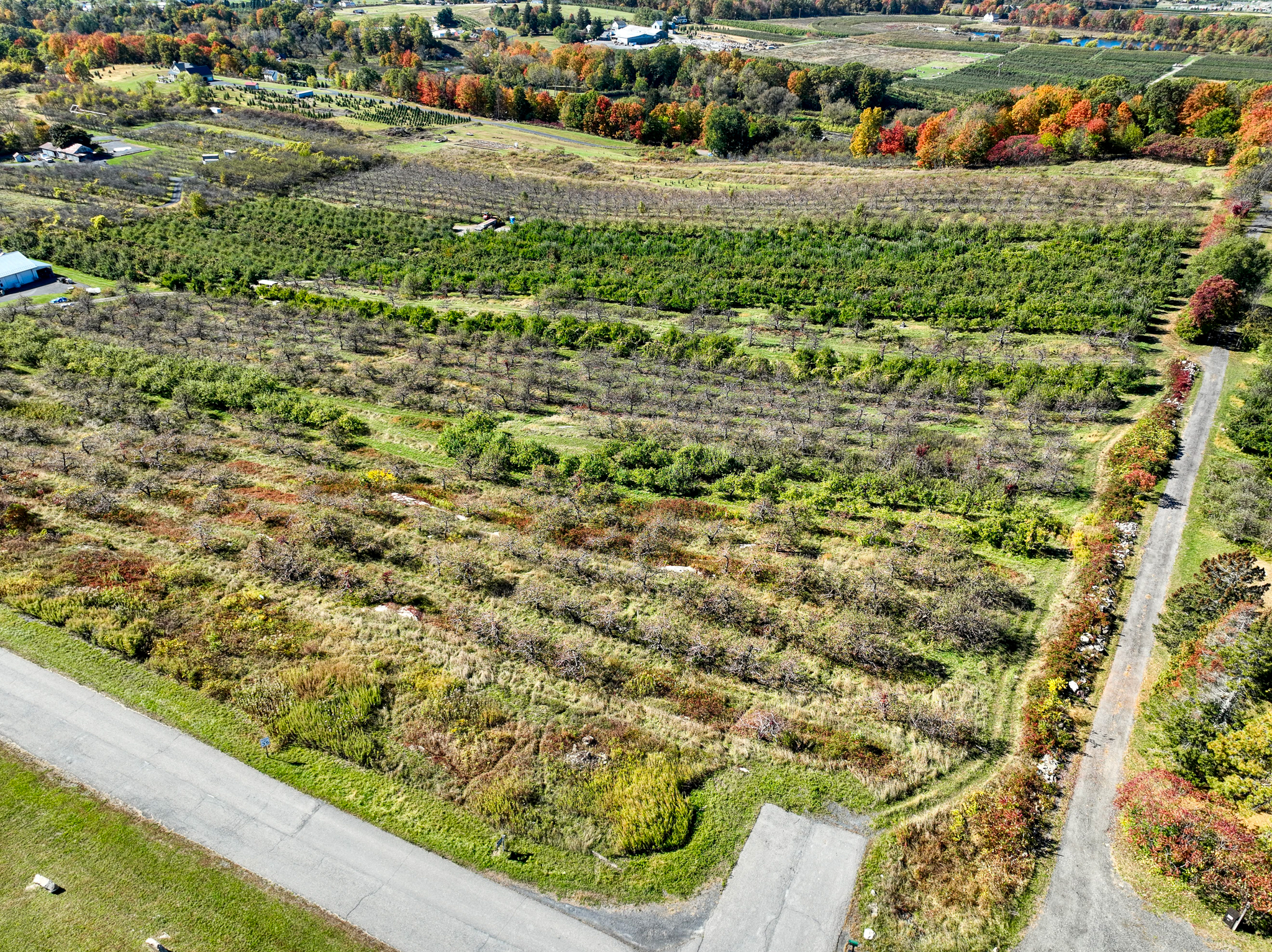  75 Palazzo Lane, Highland, NY 12528 - 物件實景