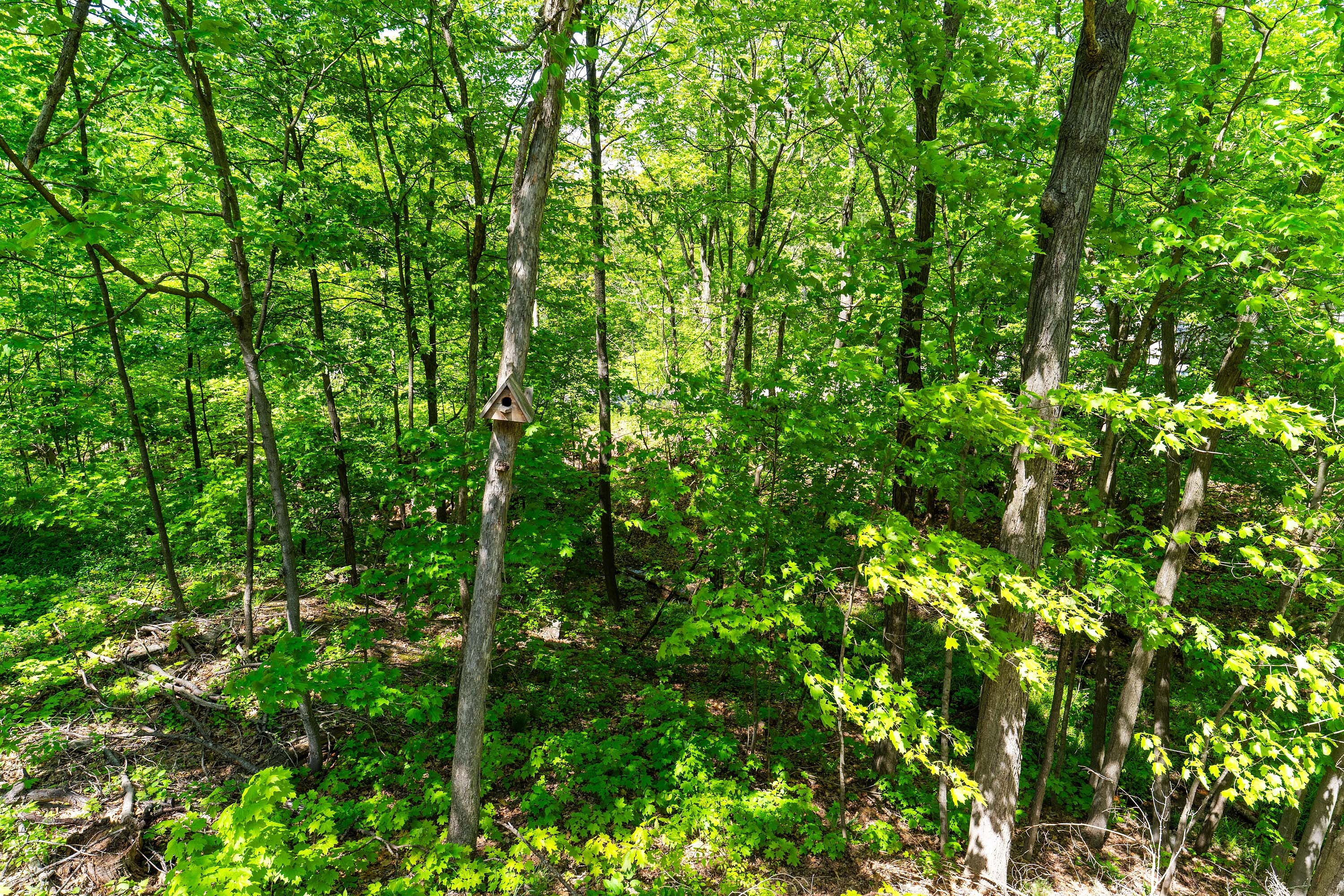  Privacy And Muskoka Charm - 物件實景