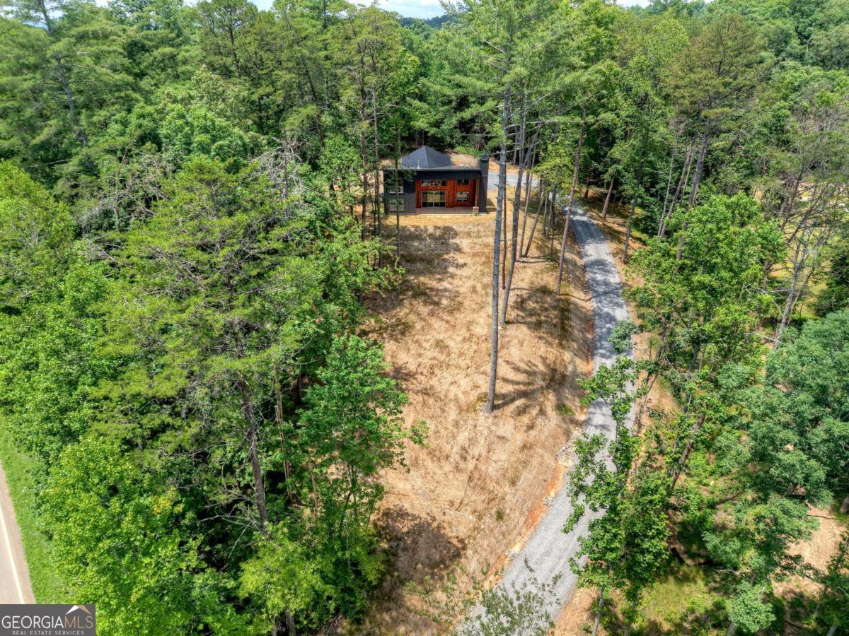 Mineral Bluff, Georgia, 30559, United States, 3 Bedrooms Bedrooms, ,3 BathroomsBathrooms,Residential,For Sale,1877867