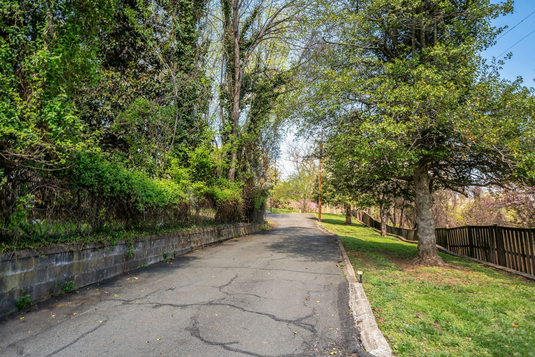  221 Mockingbird Lane, Warrenton, VA 20186 - 物件實景