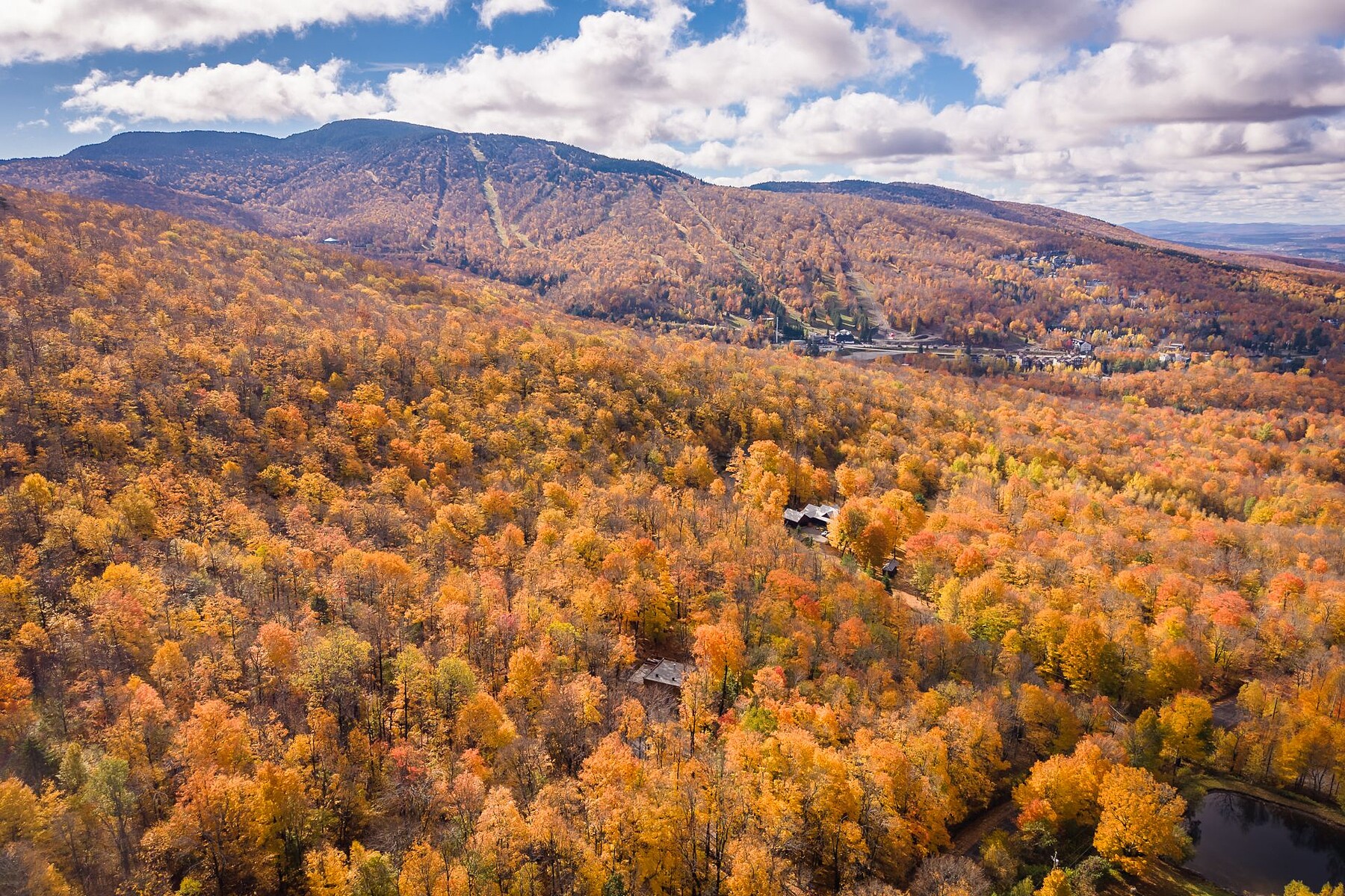  Sutton, Eastern Townships - 物件實景