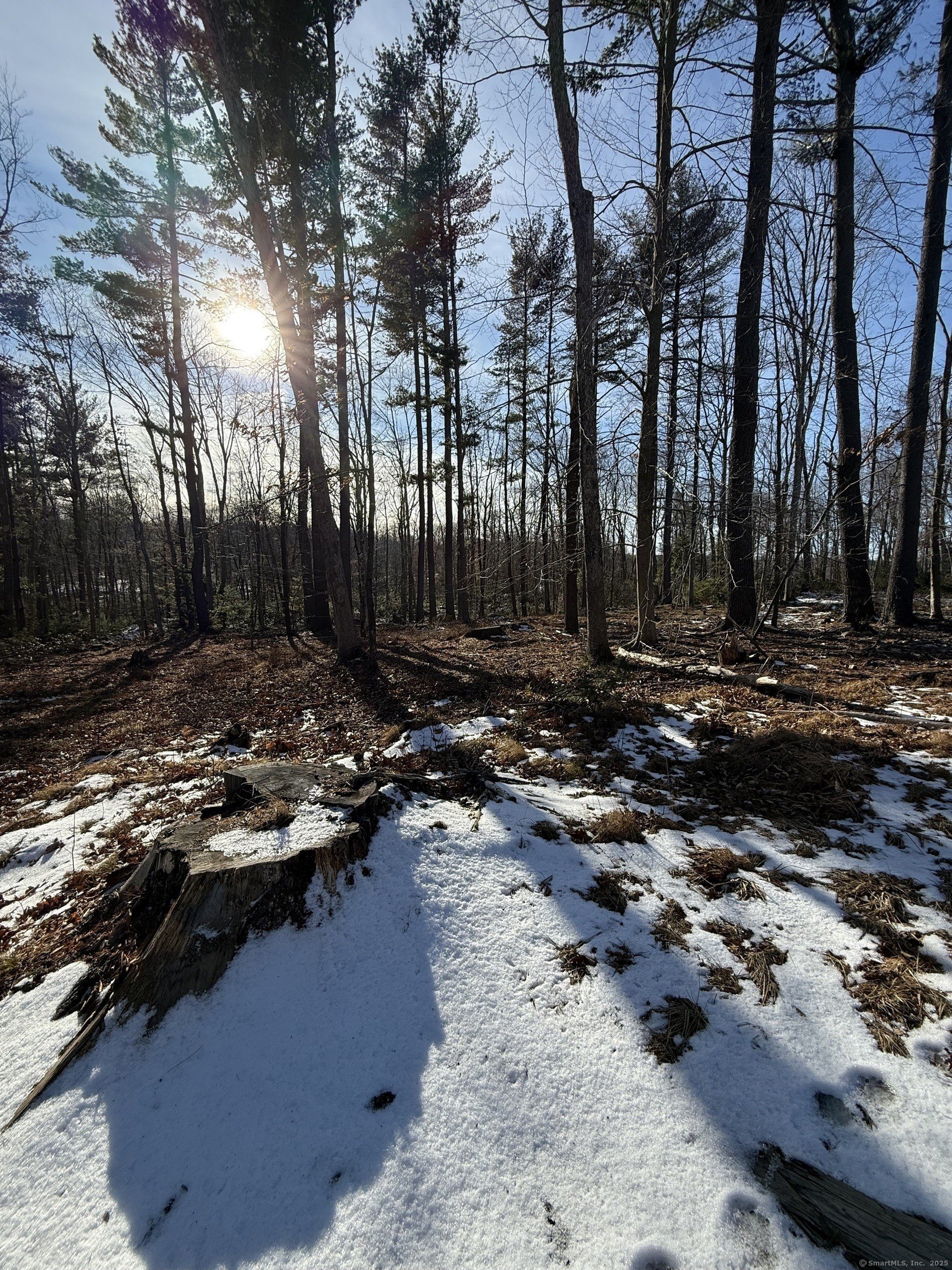 Burlington, Connecticut, 06013, United States, ,Land,For Sale,1982726