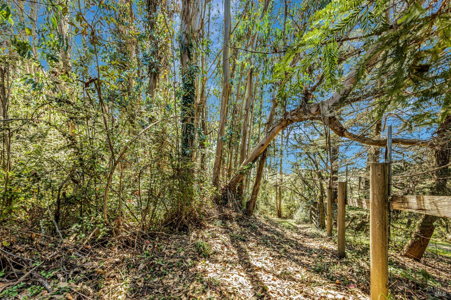 Sebastopol, California, 95472, United States, 3 Bedrooms Bedrooms, ,3 BathroomsBathrooms,Residential,For Sale,1993560