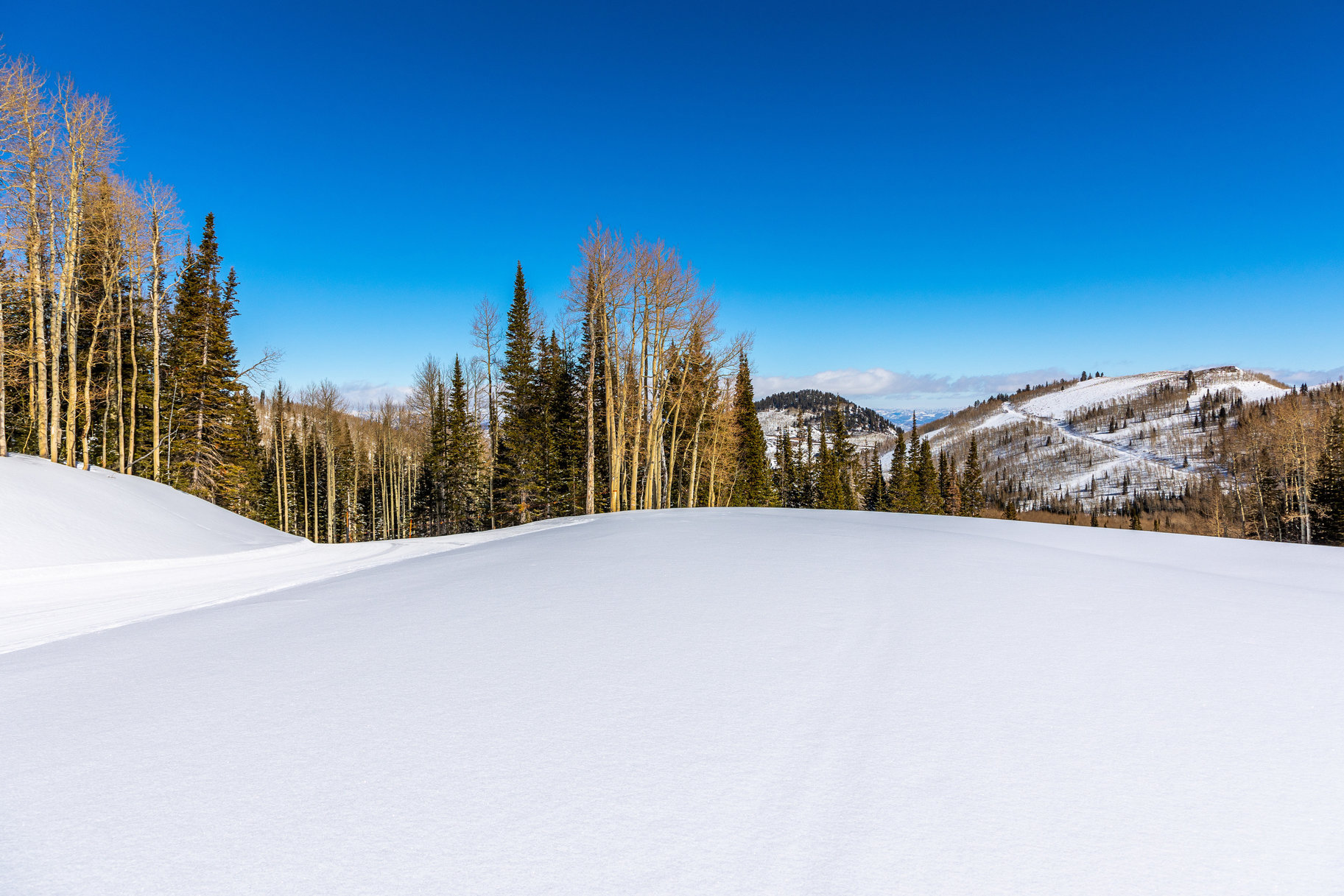  Incredible 28 Acre Estate Lot in the Colony at White Pine Canyon - 物件實景