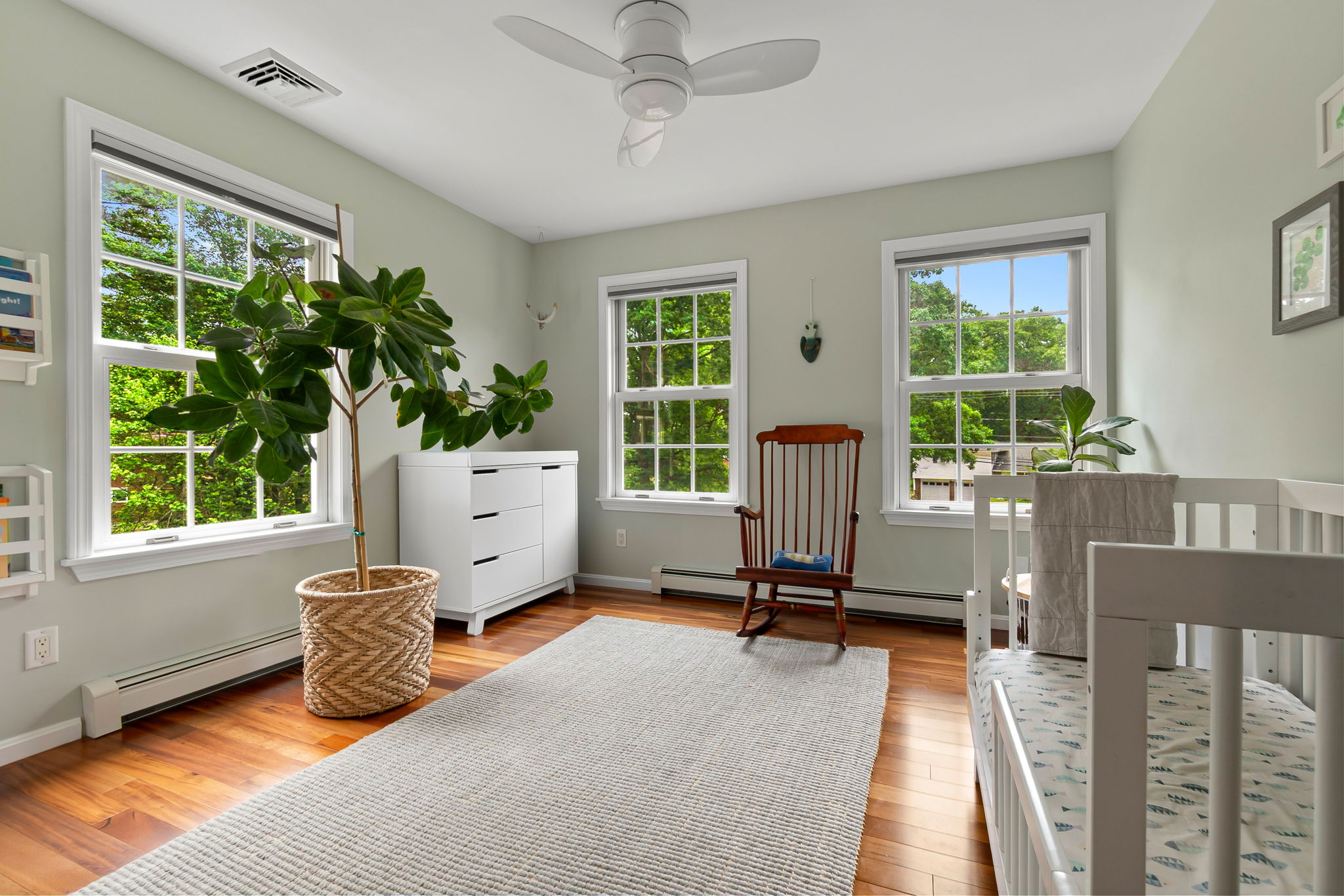  56 Jewett St, Georgetown, MA, 01833 - 物件實景