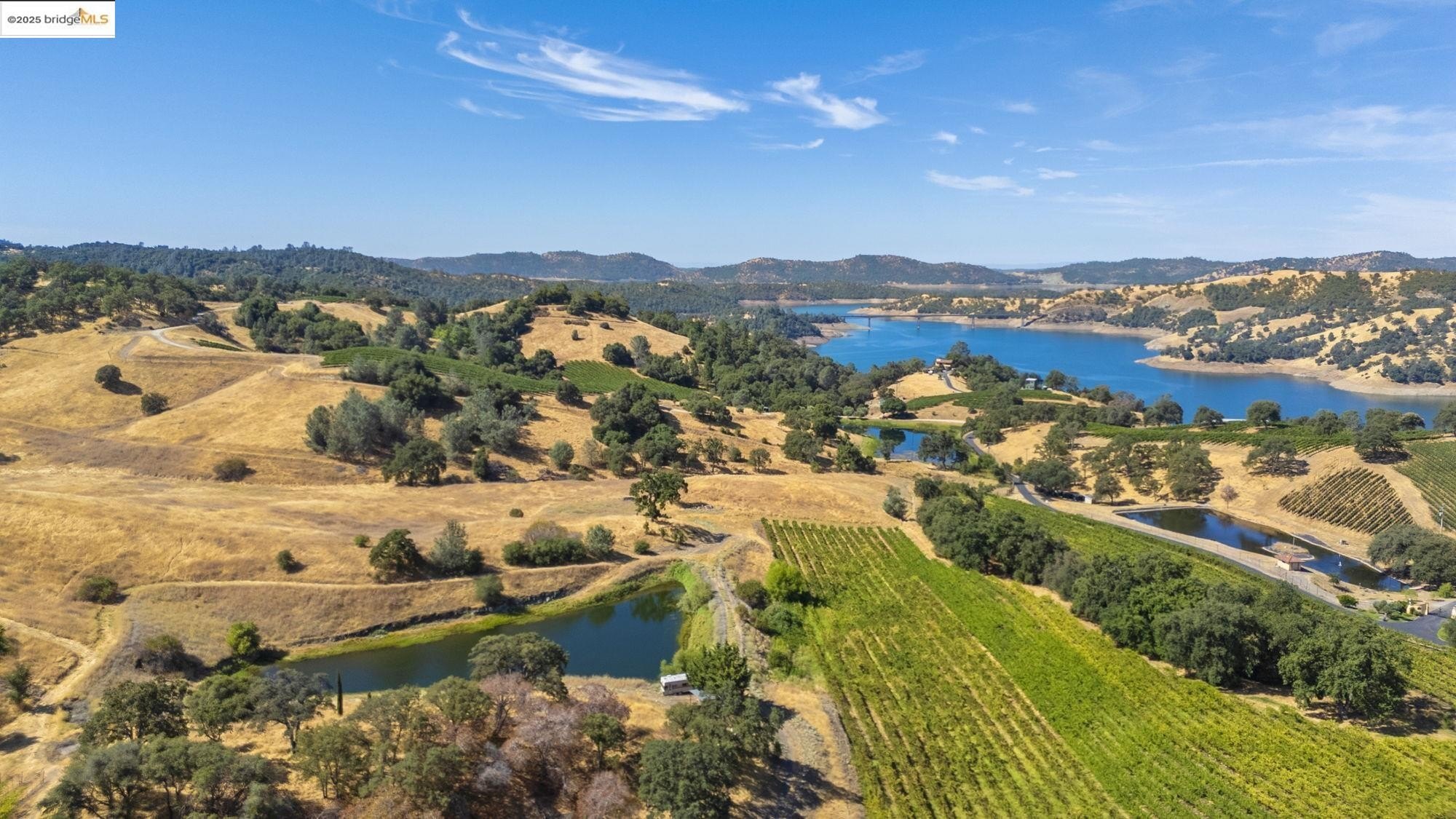 Murphys, California, 95247, United States, ,Land,For Sale,1975931