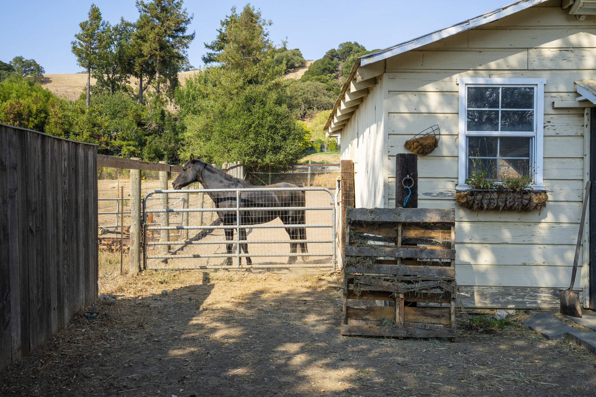  1846 Indian Valley Road, Novato, CA 94947 - 物件實景