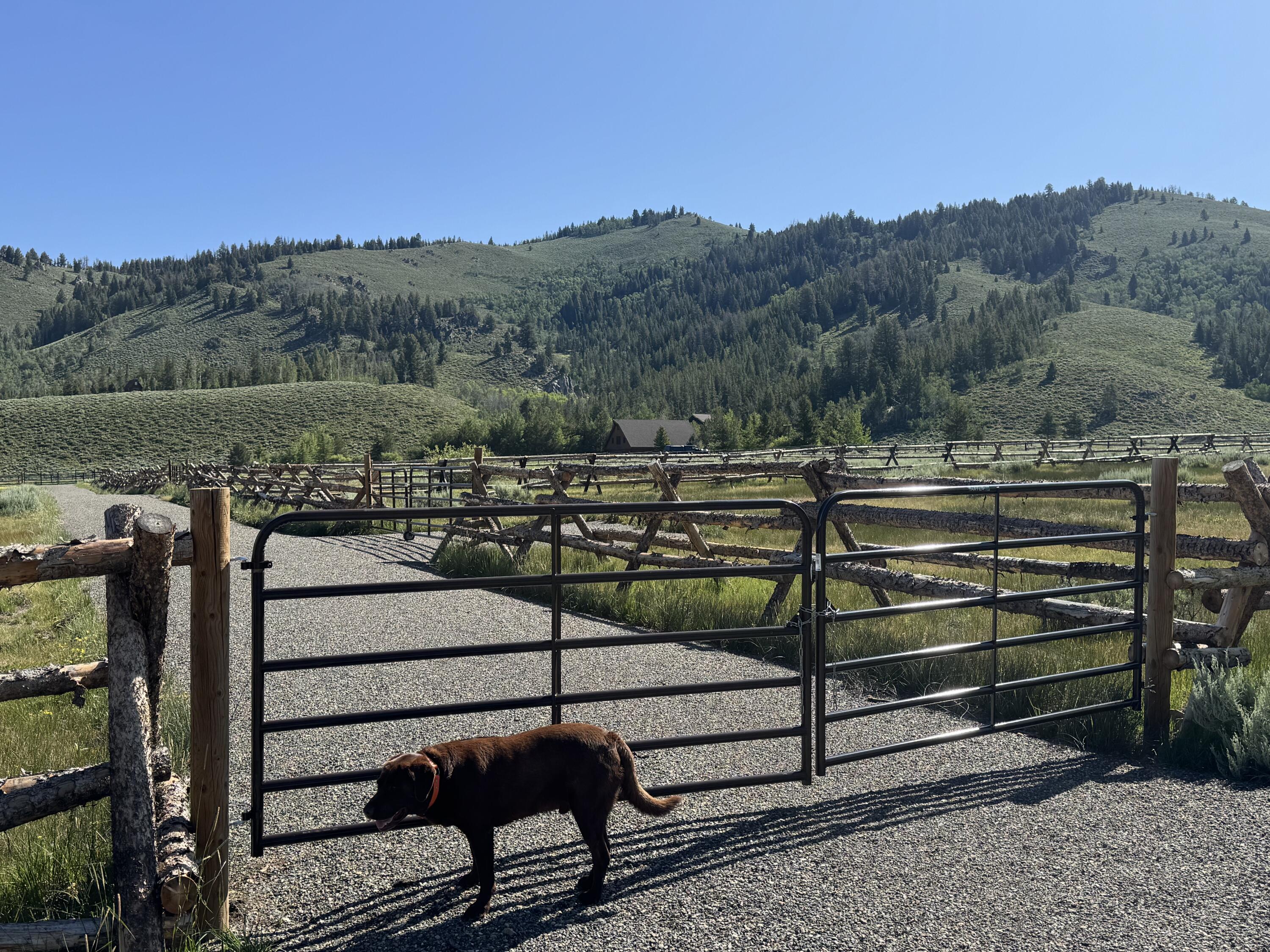 Stanley, Idaho, 83278, United States, ,Land,For Sale,1901484