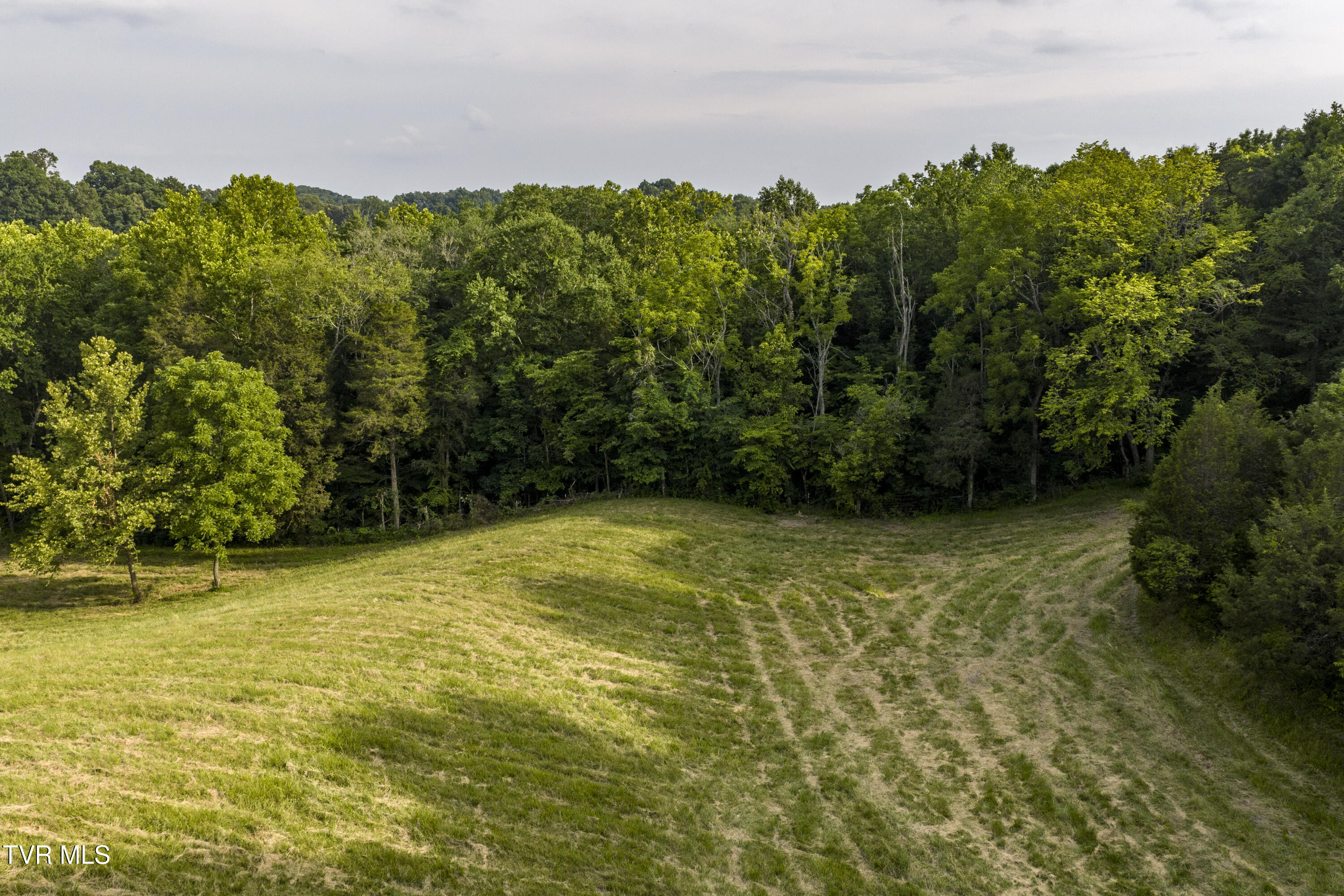 Piney Flats, Tennessee, 37686, United States, ,Land,For Sale,1983828